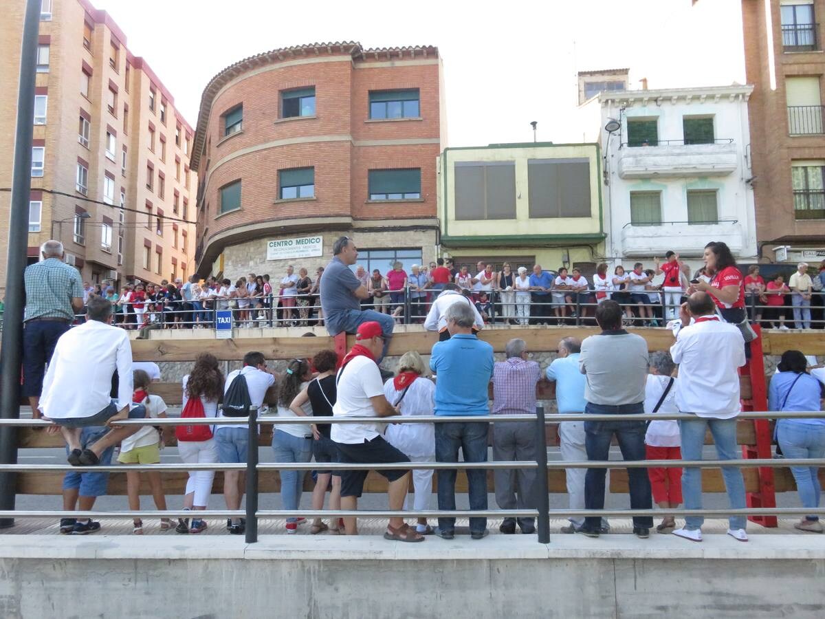 Fotos: Alfaro llega al ecuador de sus fiestas de San Roque y San Ezequiel