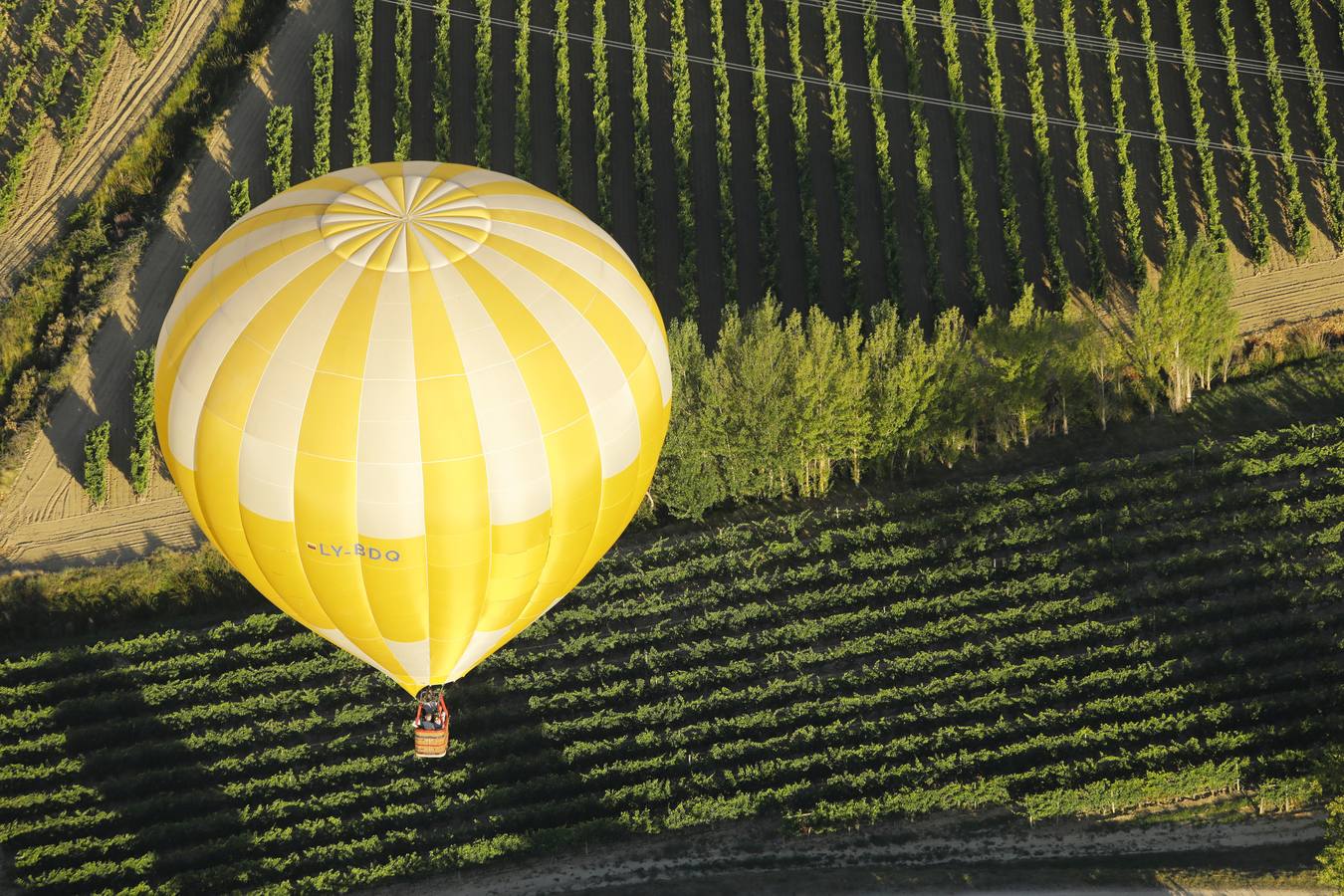 Fotos: Regata de globos aerostáticos en Haro y su comarca