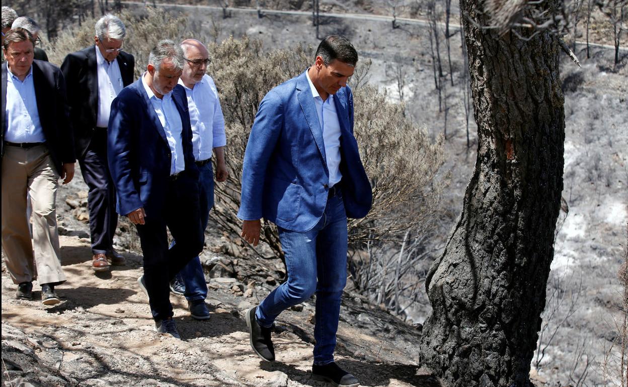 Sánchez visita este jueves la zona afectada por el incendio en Gran Canaria. 