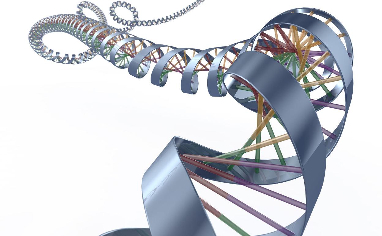 Imagen de la doble cadena helicoidal de ADN. 