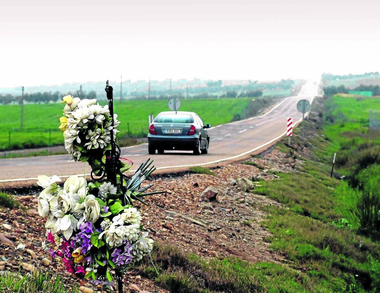 Unas flores junto a una carretera extremeña donde se produjo un accidente mortal. :: r. c.