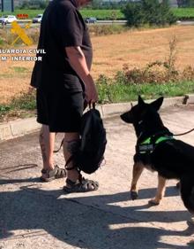 Imagen secundaria 2 - Otras de las actuaciones de la Guardia Civil