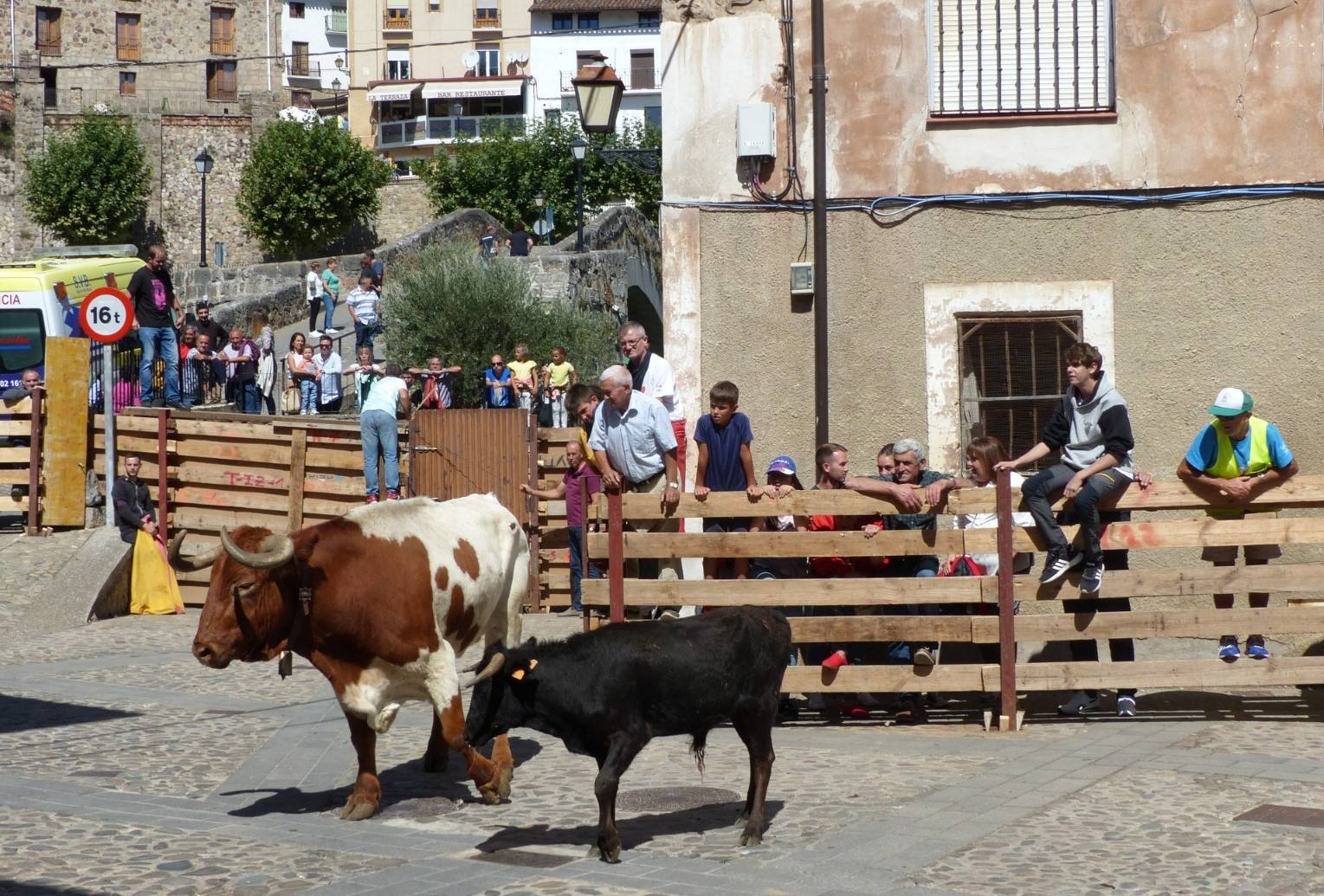 Fotos: Torrecilla honra a la Virgen de Tómalos