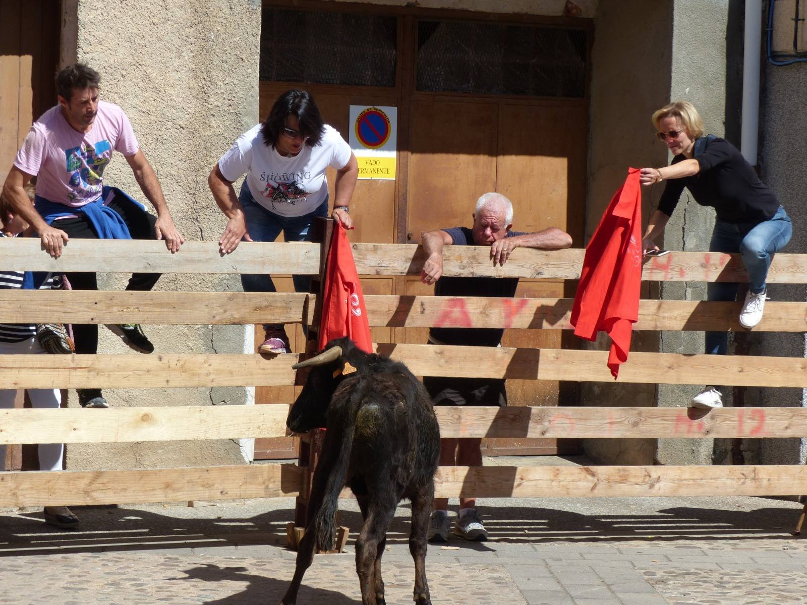 Fotos: Torrecilla honra a la Virgen de Tómalos