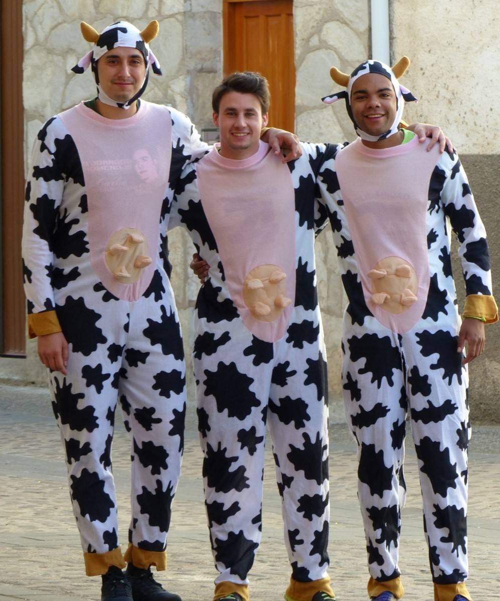 Fotos: Torrecilla honra a la Virgen de Tómalos