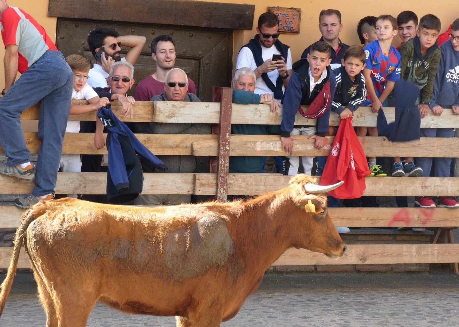 Fotos: Torrecilla honra a la Virgen de Tómalos