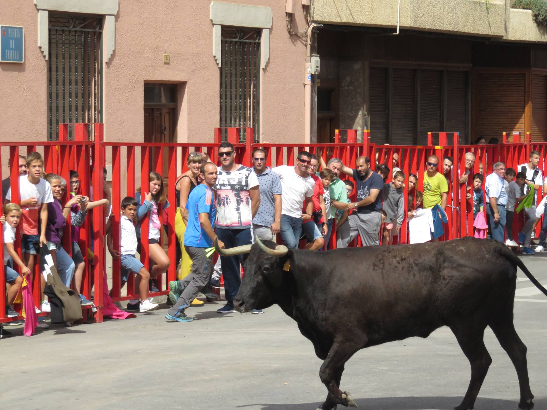 Fotos: Encierro limpio en el cuarto día de fiestas en Alfaro