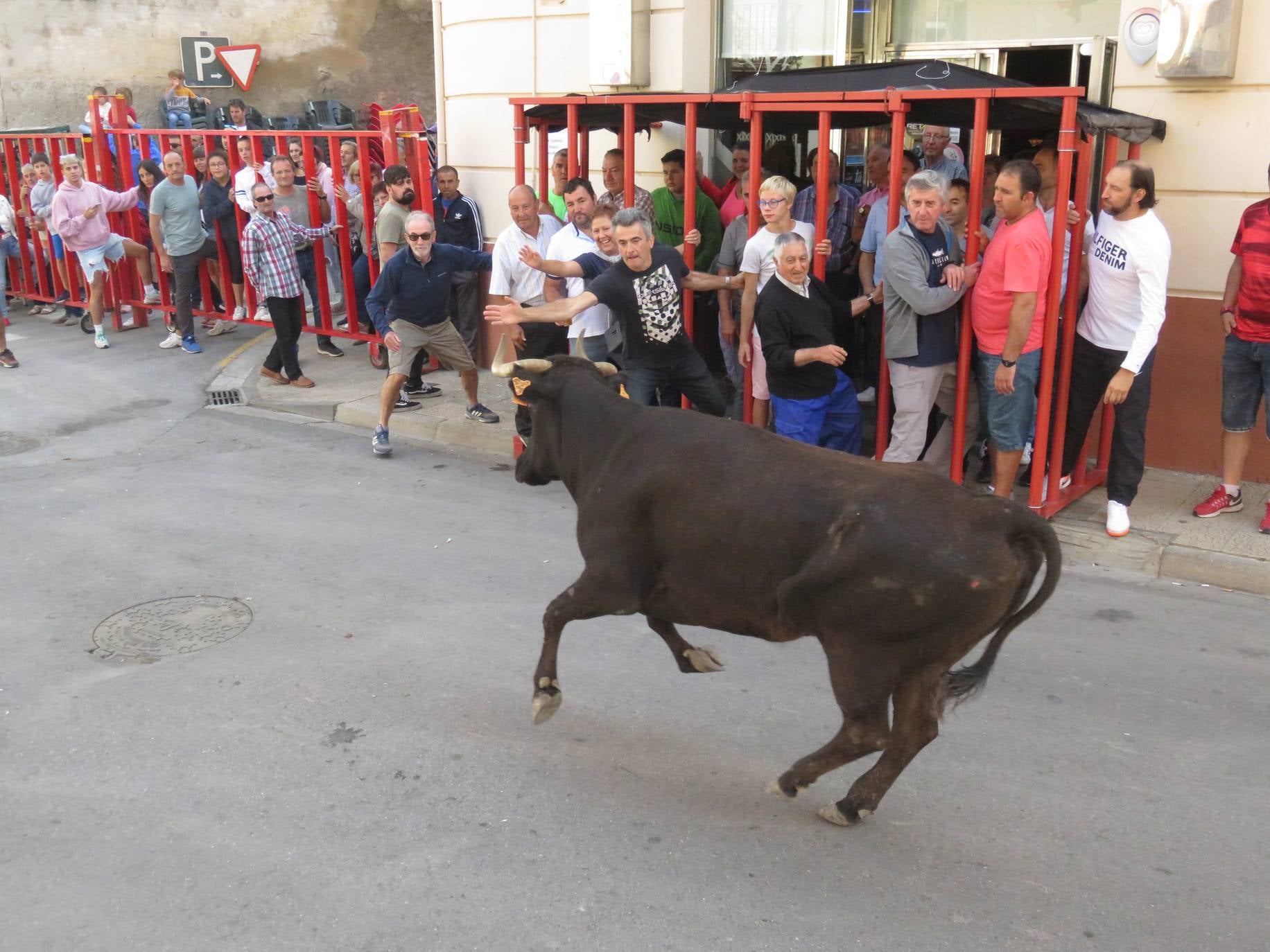 Fotos: Encierro limpio en el cuarto día de fiestas en Alfaro