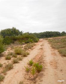 Imagen secundaria 2 - La Maja y parque eólico de Raposeras, camino junto a la yasa de Majillonda y entrada a Pradejón