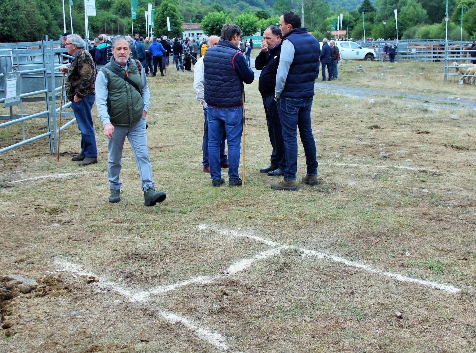 Fotos: XXIII edición de la Feria de Ganado en Villoslada