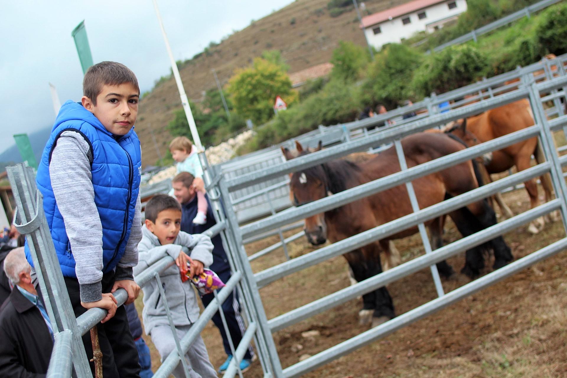 Fotos: XXIII edición de la Feria de Ganado en Villoslada