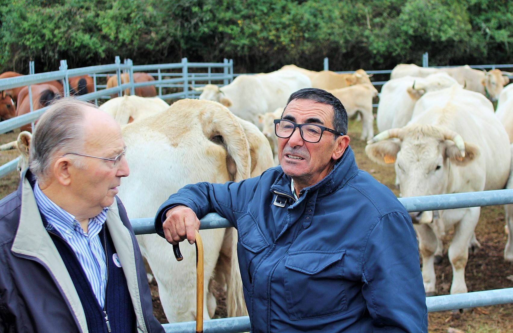 Fotos: XXIII edición de la Feria de Ganado en Villoslada