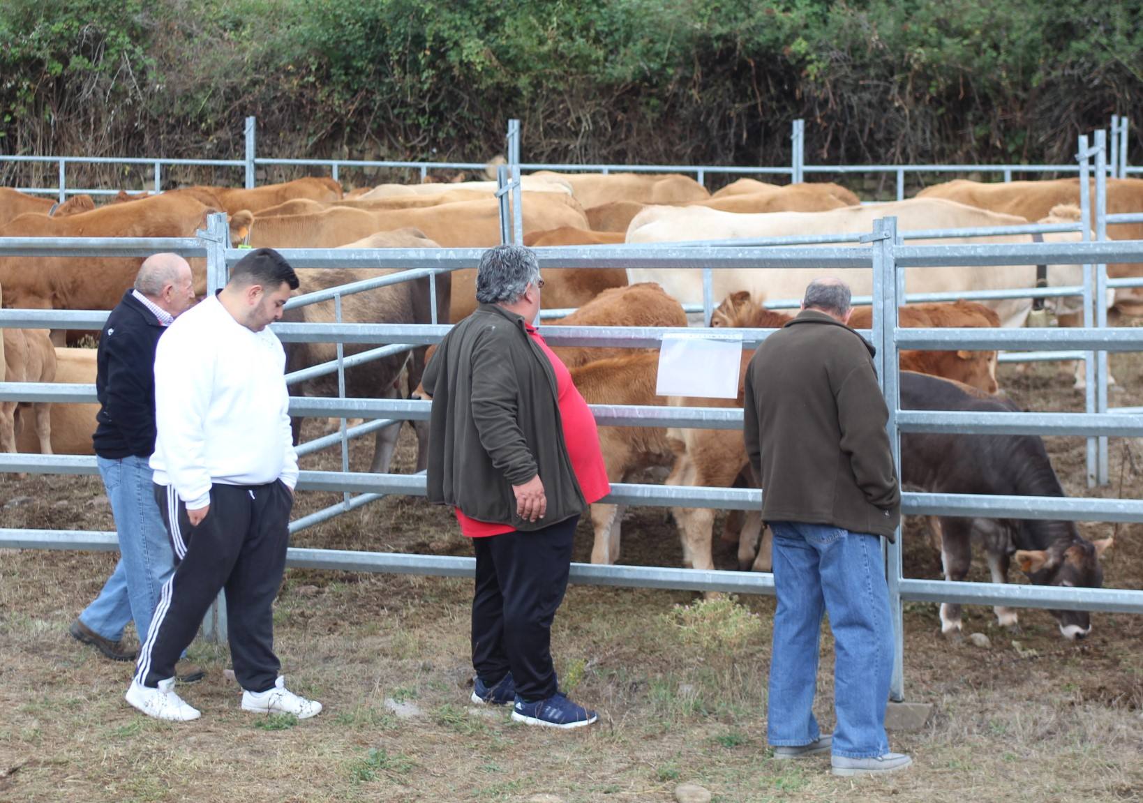 Fotos: XXIII edición de la Feria de Ganado en Villoslada