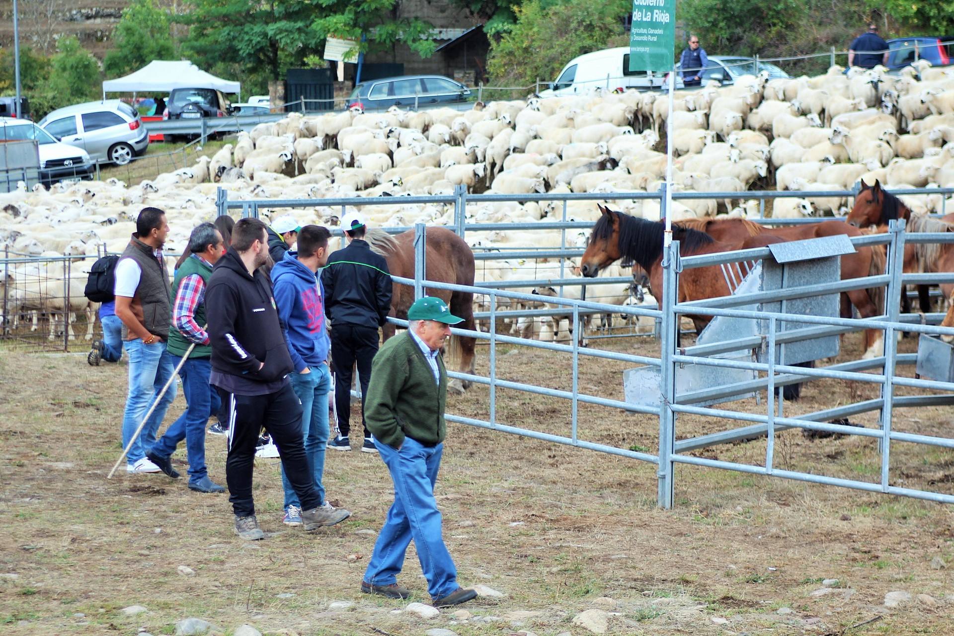 Fotos: XXIII edición de la Feria de Ganado en Villoslada