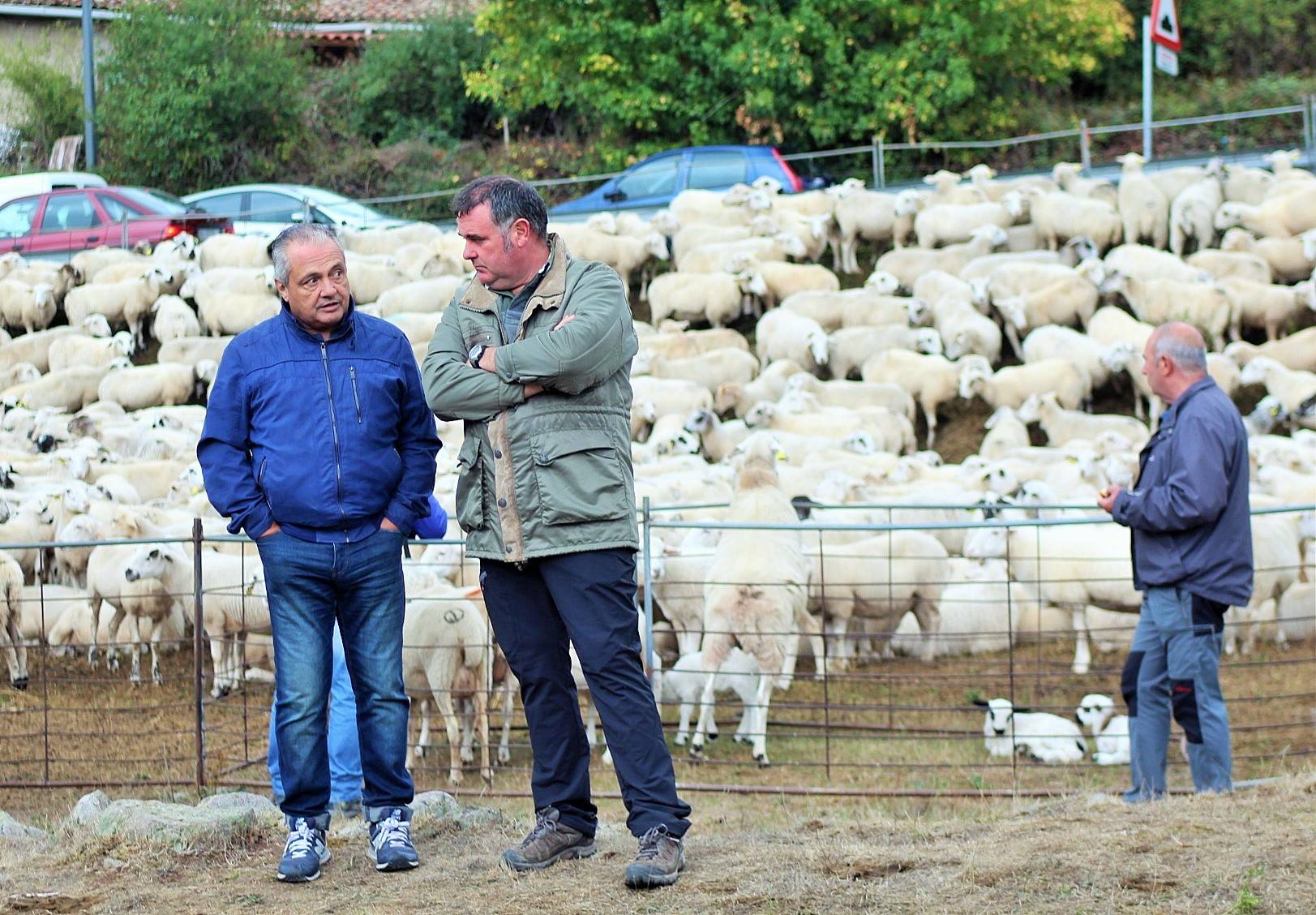 Fotos: XXIII edición de la Feria de Ganado en Villoslada