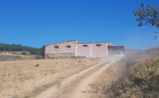 El lugar en el que ha sido encontrada. 