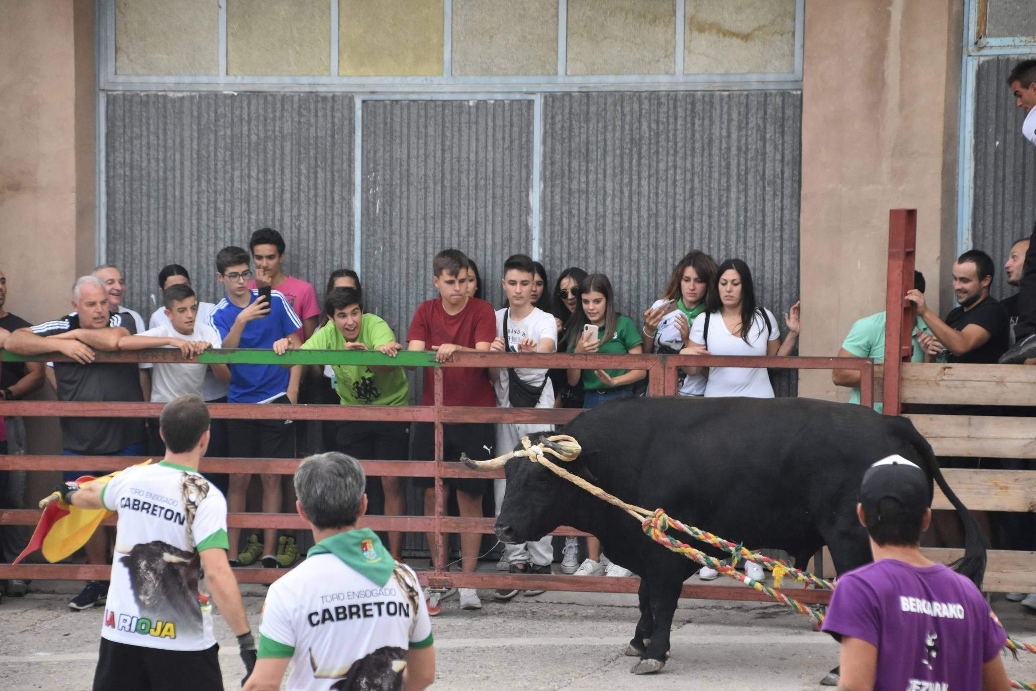 Fotos: Suelta de toros ensogados en Cabretón