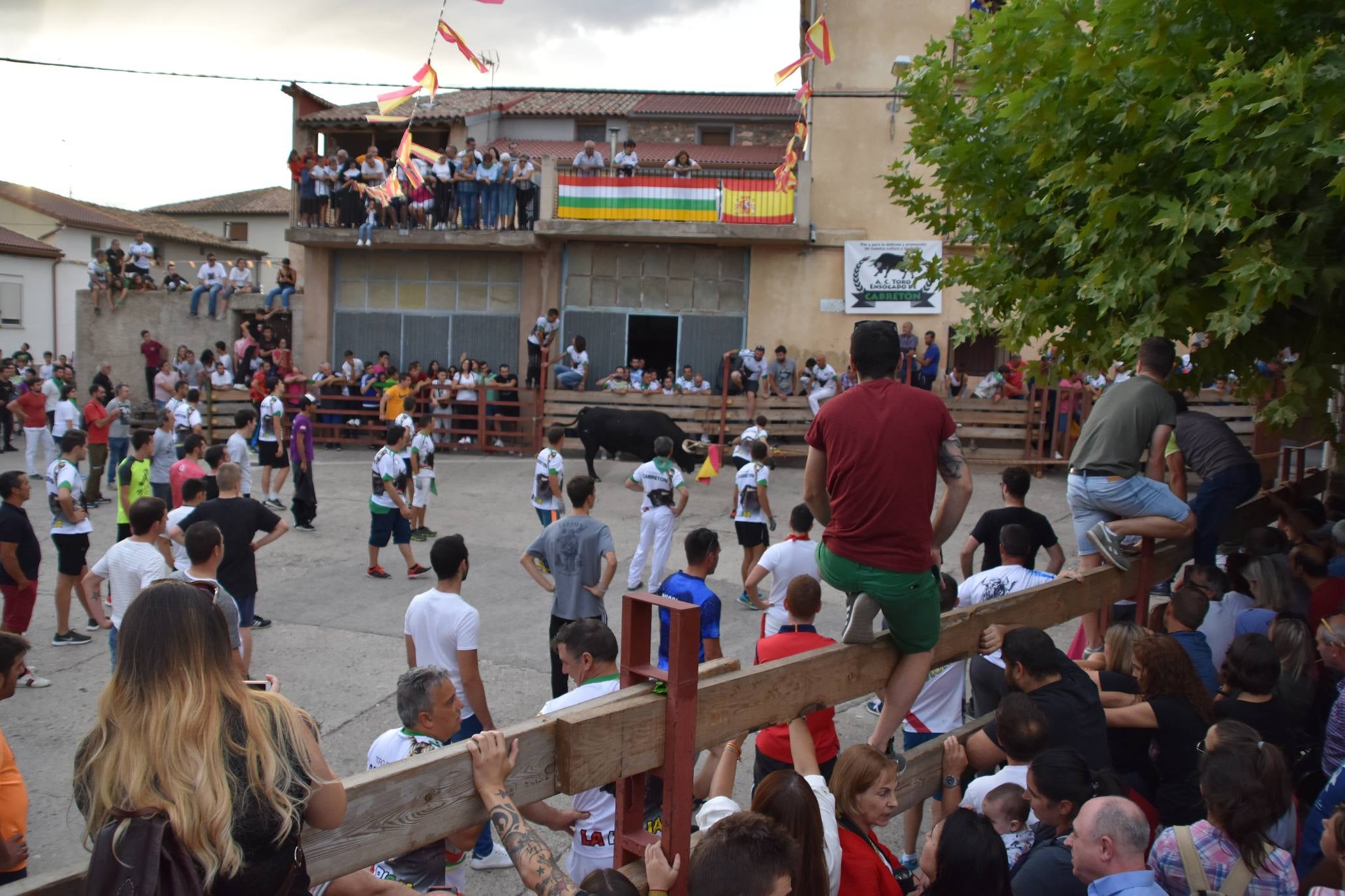 Fotos: Suelta de toros ensogados en Cabretón