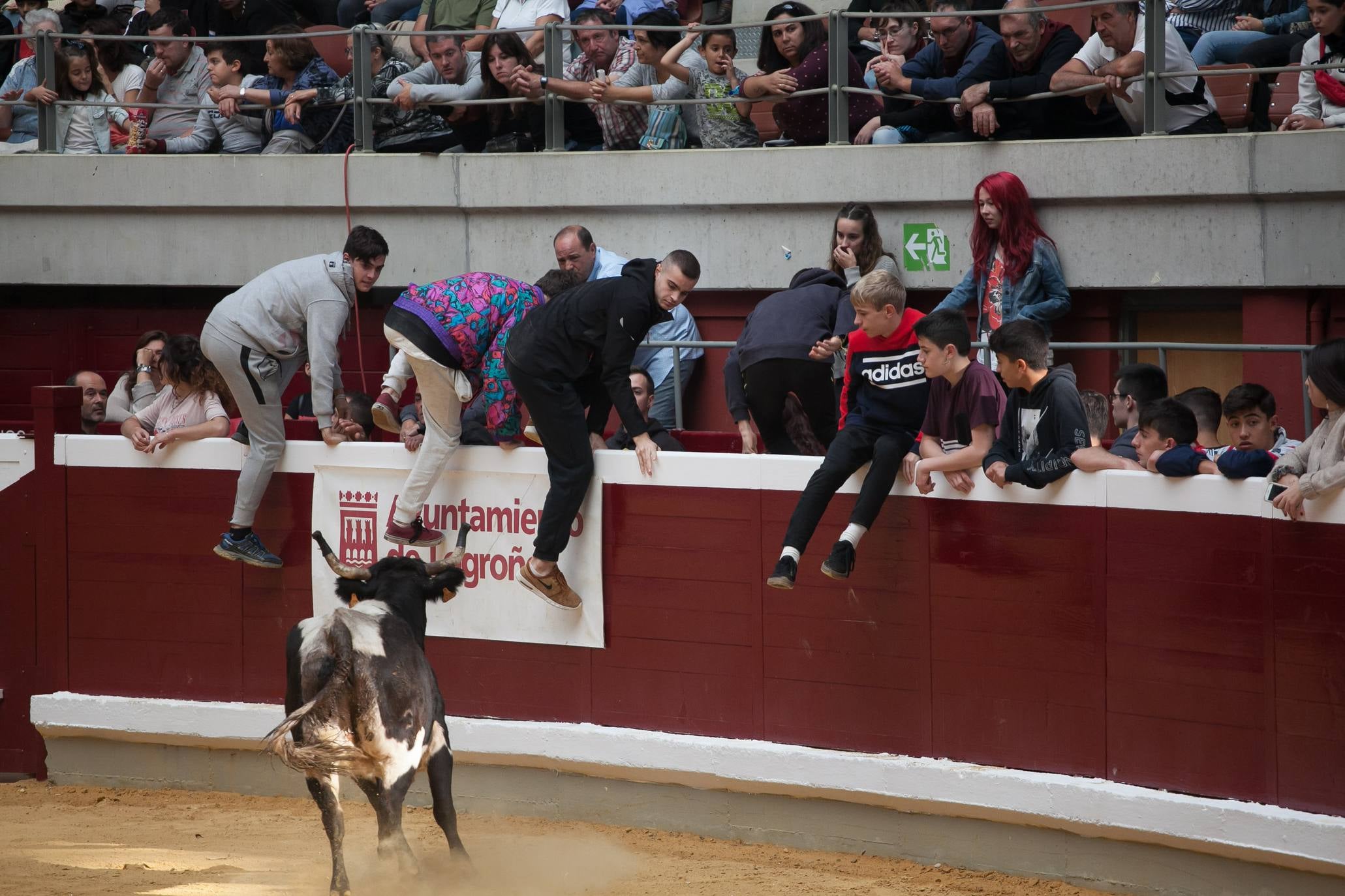 Fotos: Primer día de vaquillas