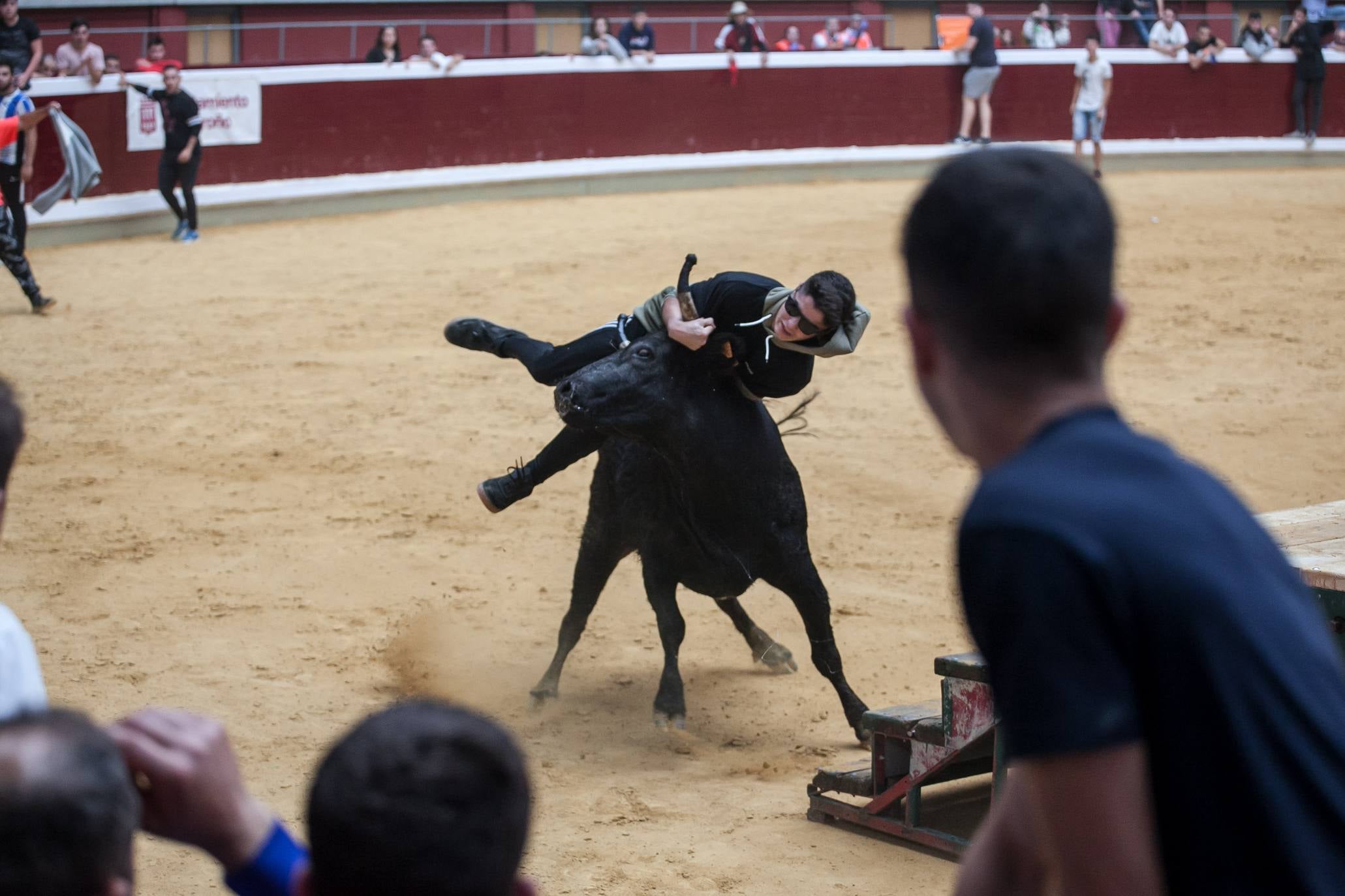 Fotos: Primer día de vaquillas