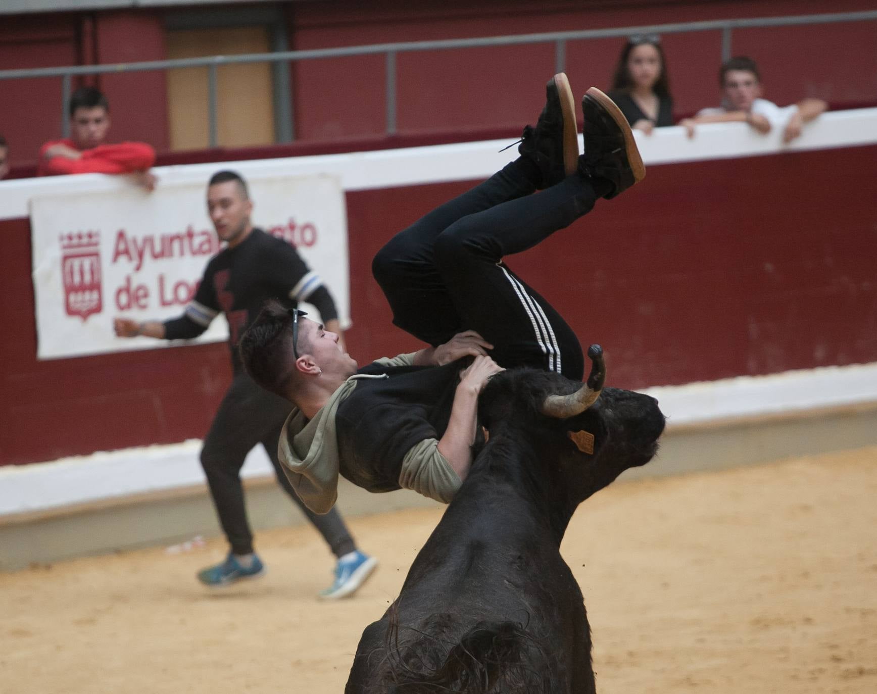 Fotos: Primer día de vaquillas