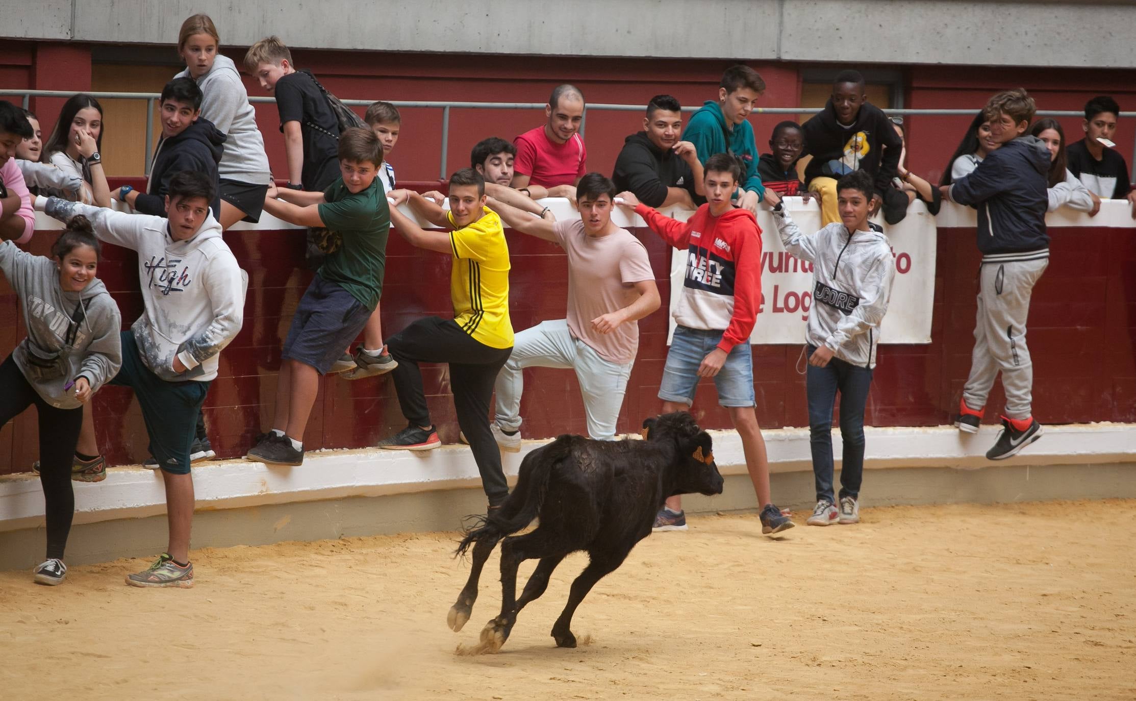 Fotos: Primer día de vaquillas