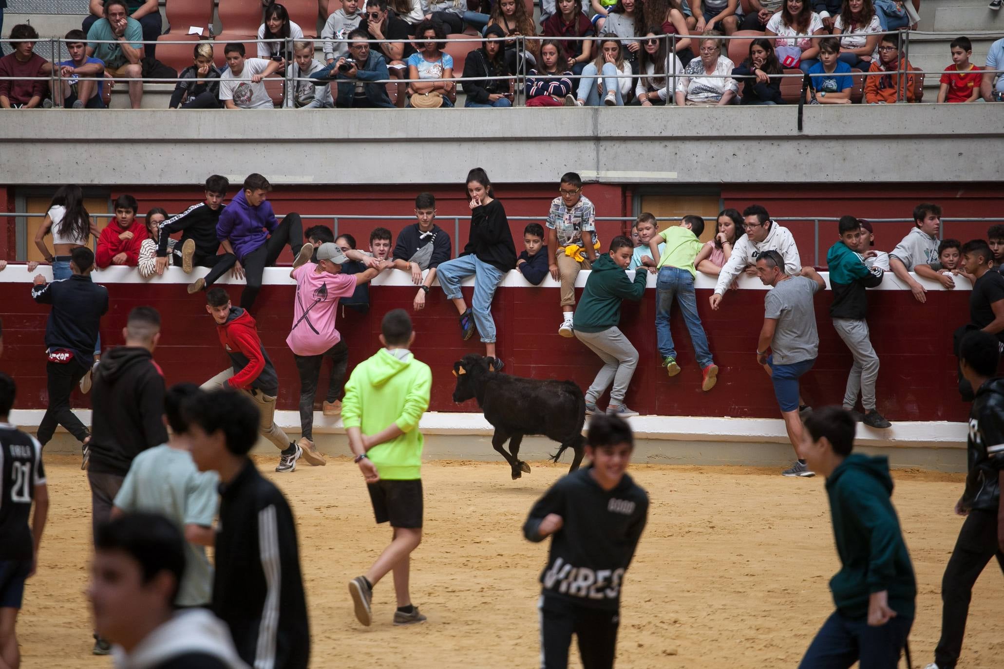 Fotos: Primer día de vaquillas