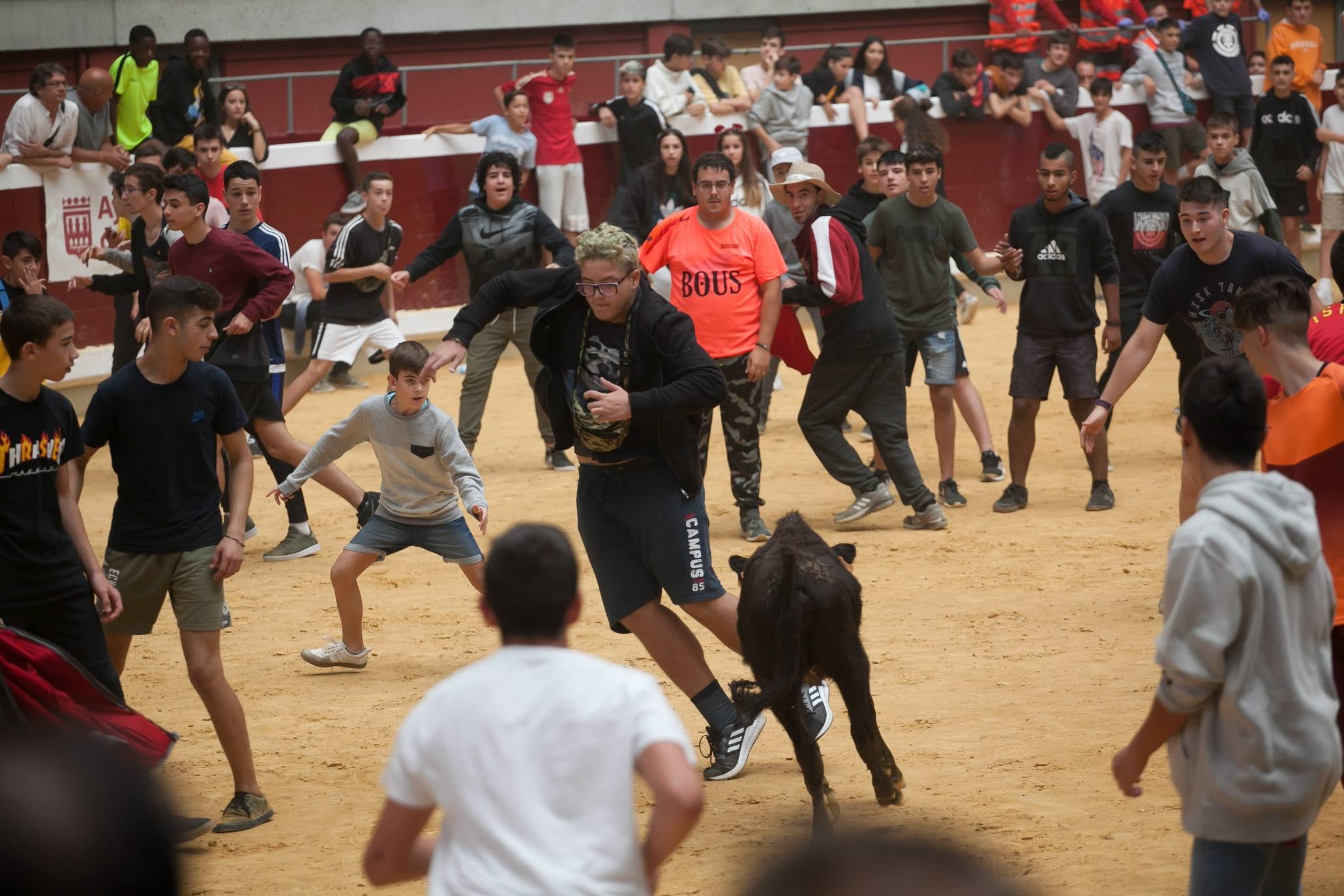 Fotos: Primer día de vaquillas