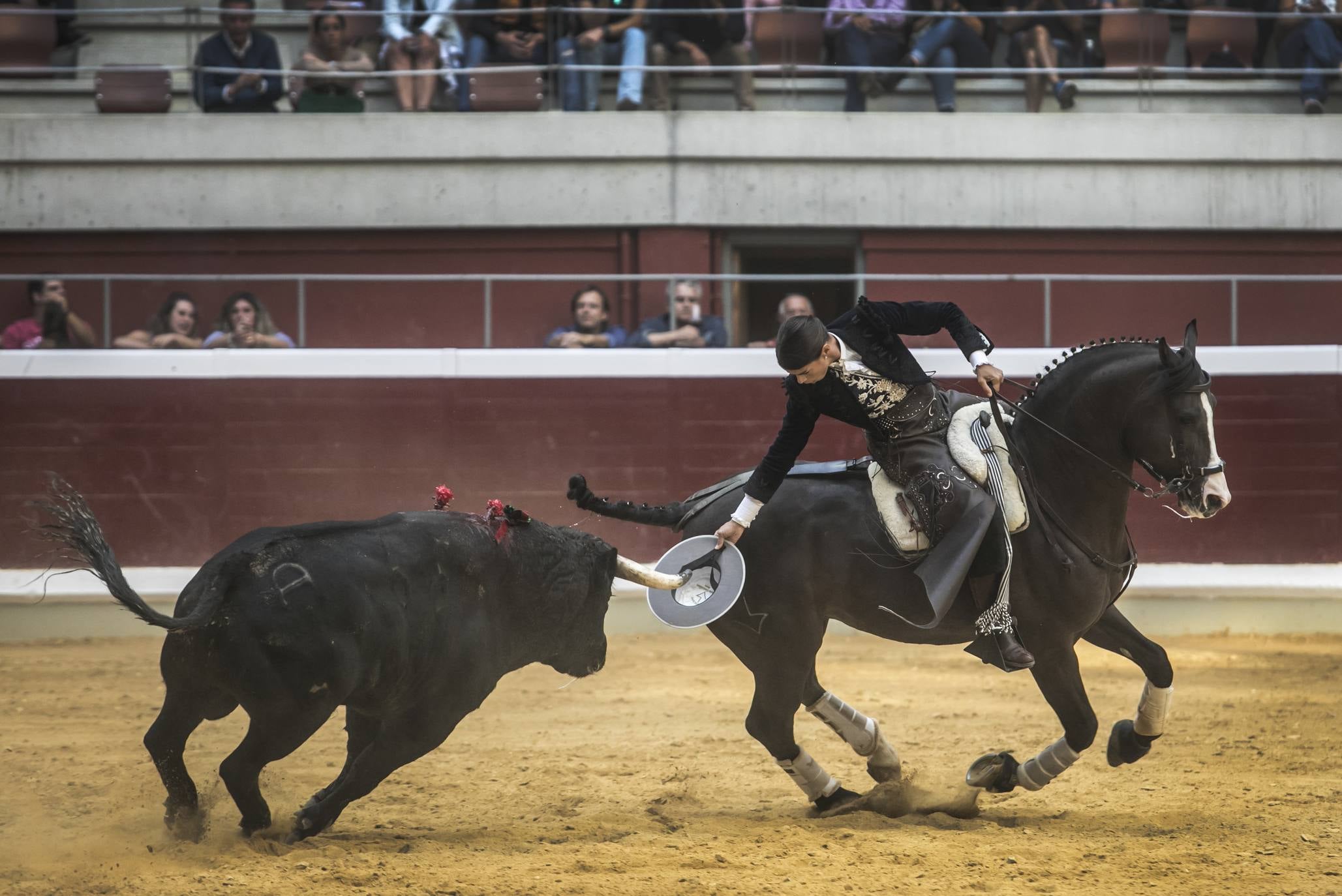 Fotos: Toros en san Mateo: el domingo