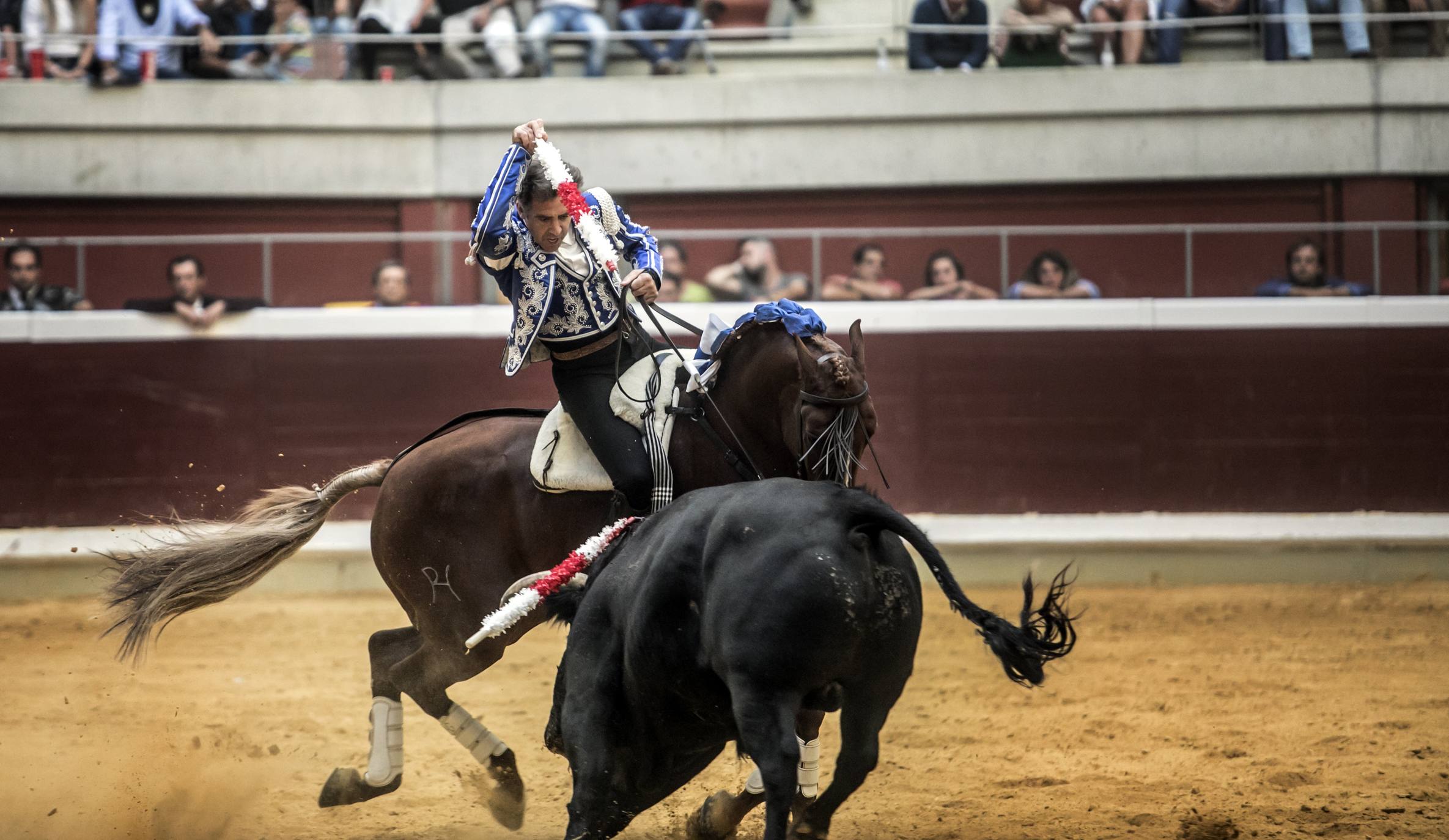 Fotos: Toros en san Mateo: el domingo