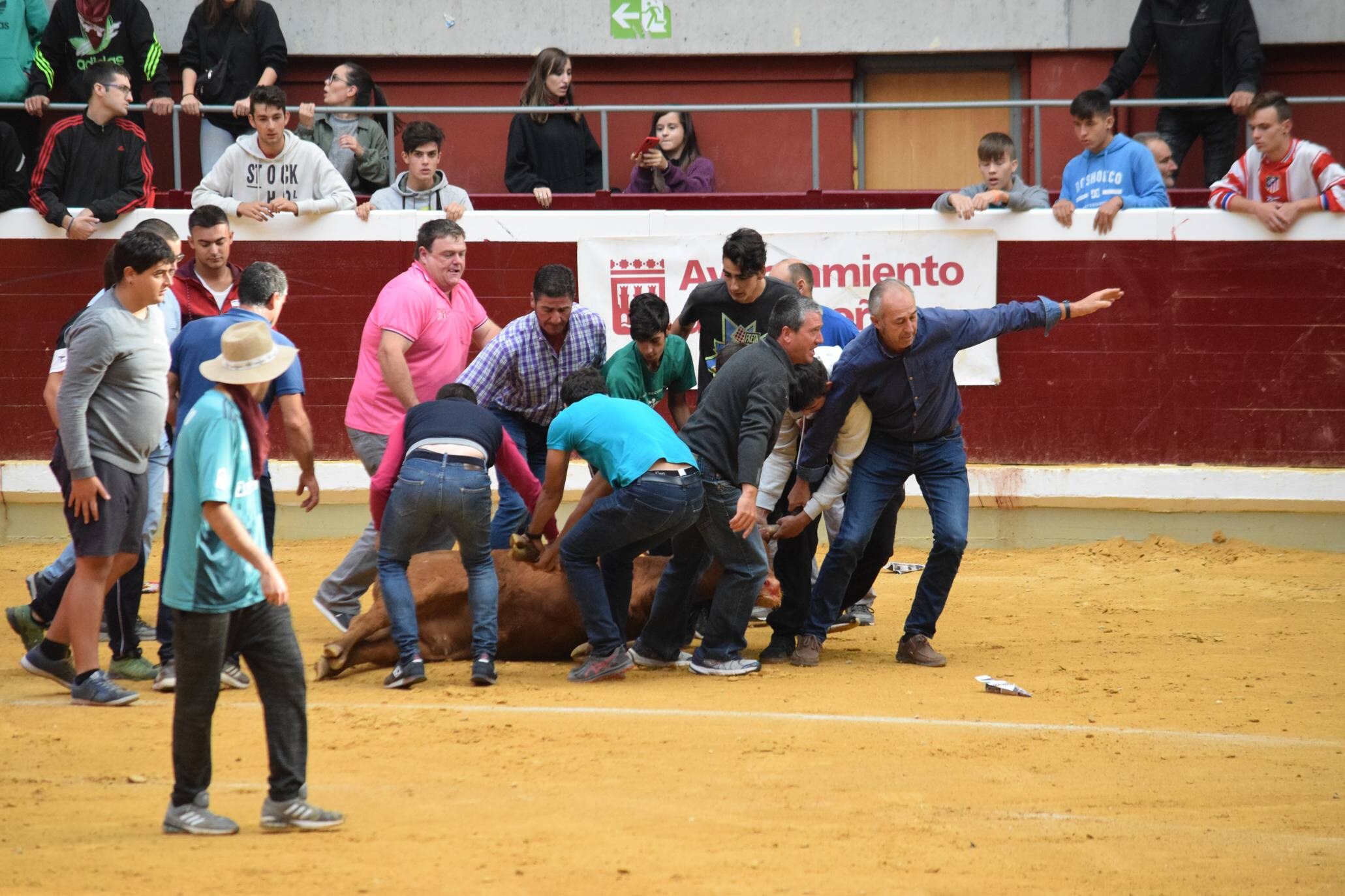 Miércoles de vaquillas en La Ribera