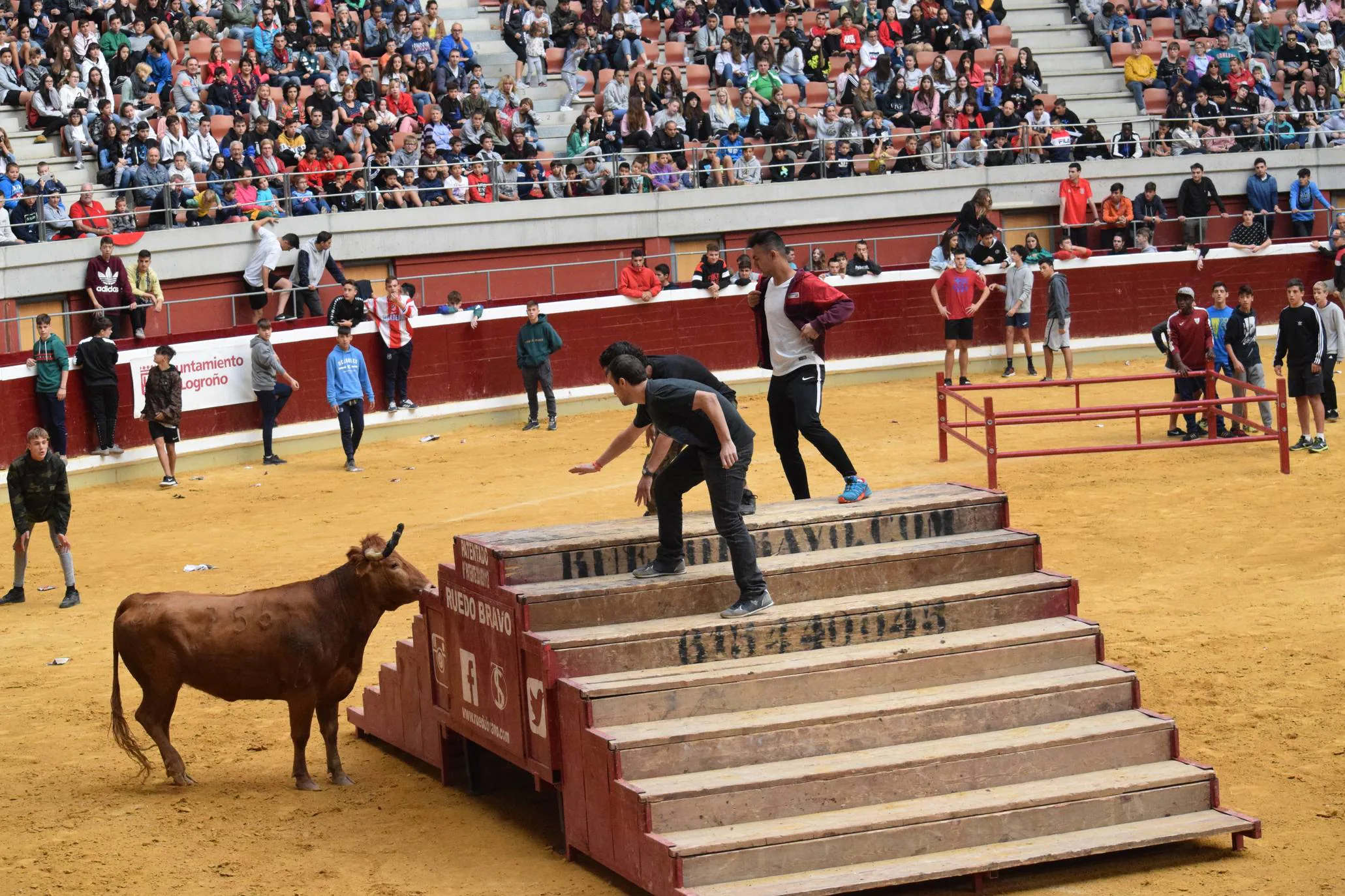 Miércoles de vaquillas en La Ribera