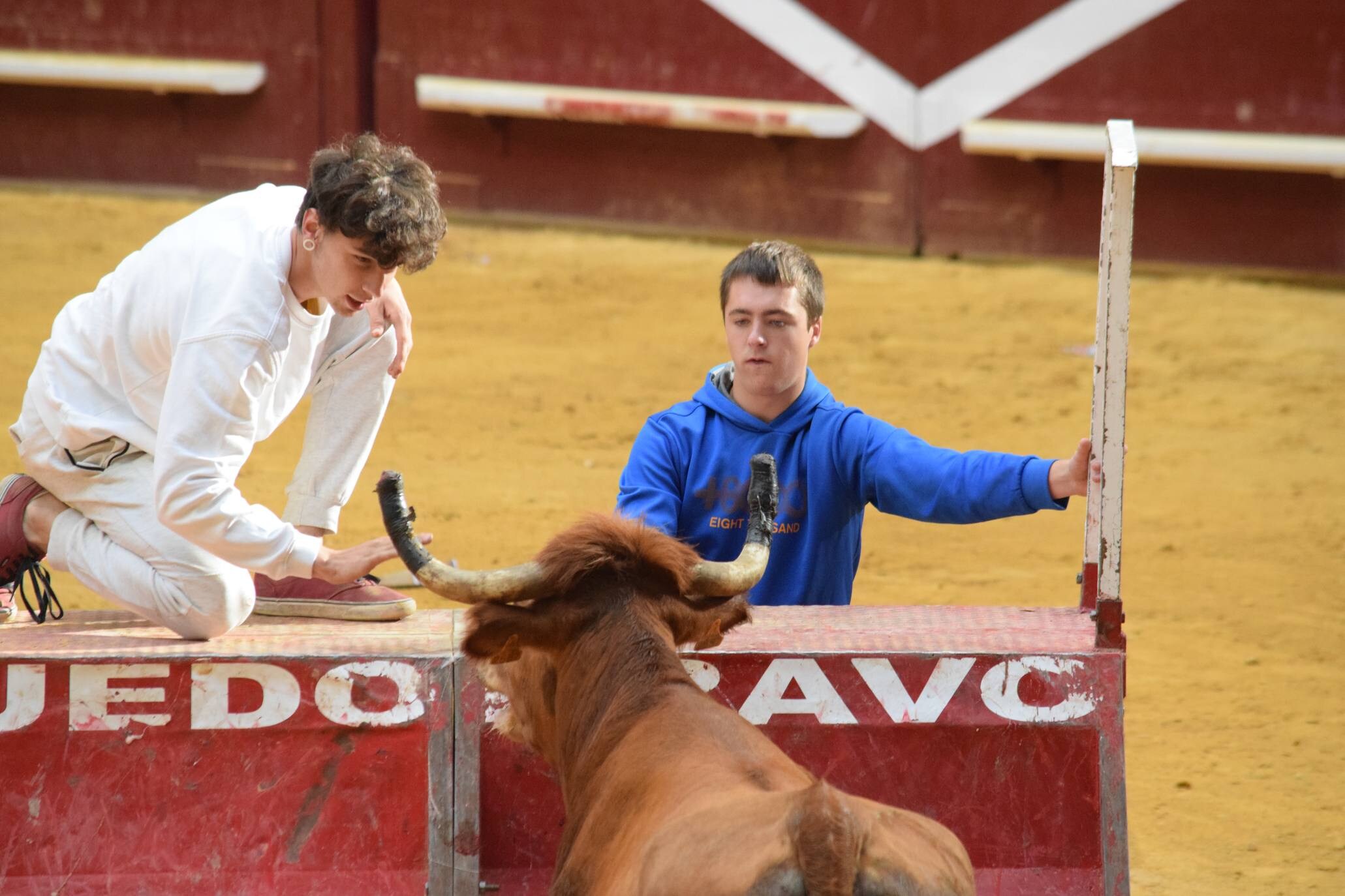 Miércoles de vaquillas en La Ribera