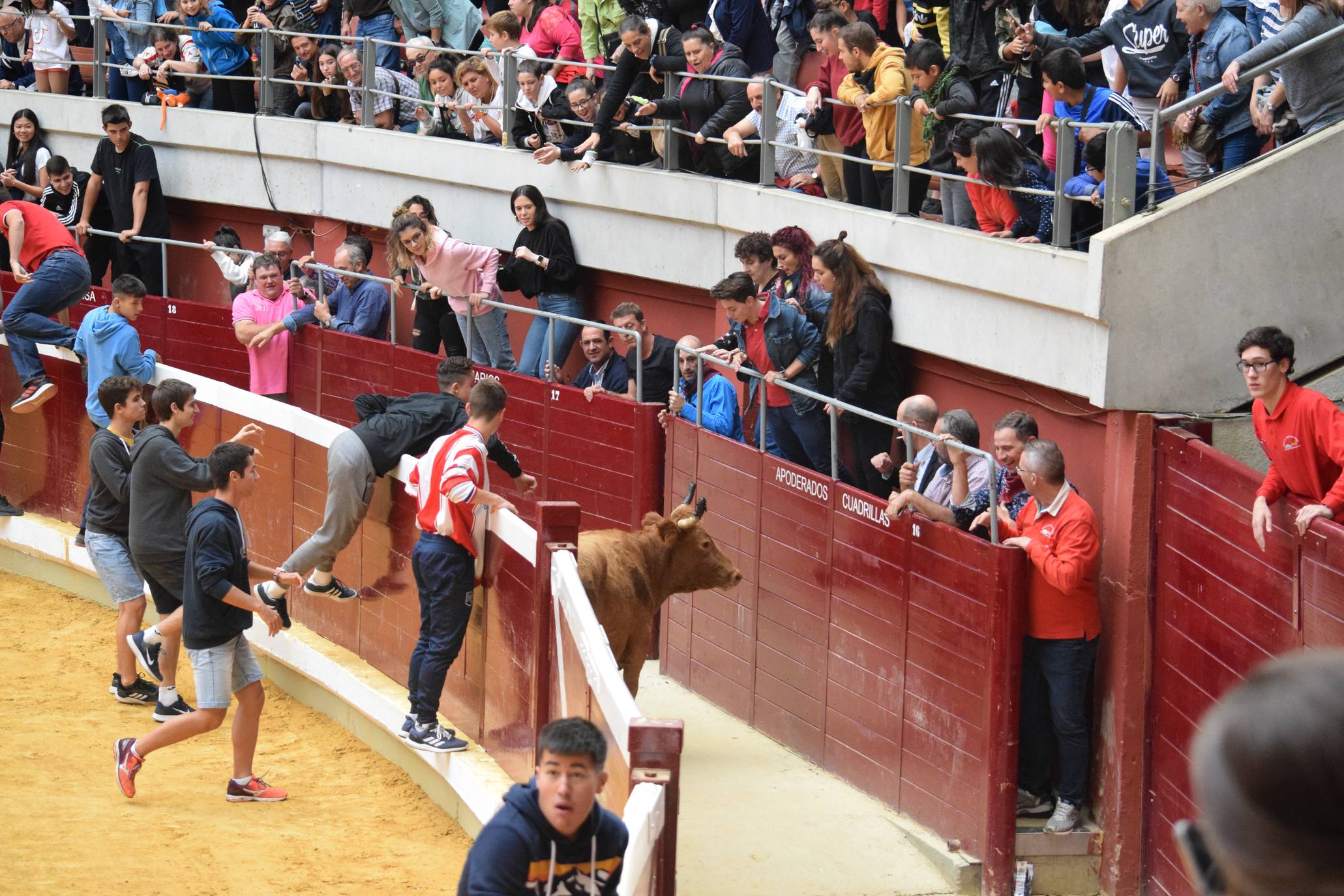 Miércoles de vaquillas en La Ribera