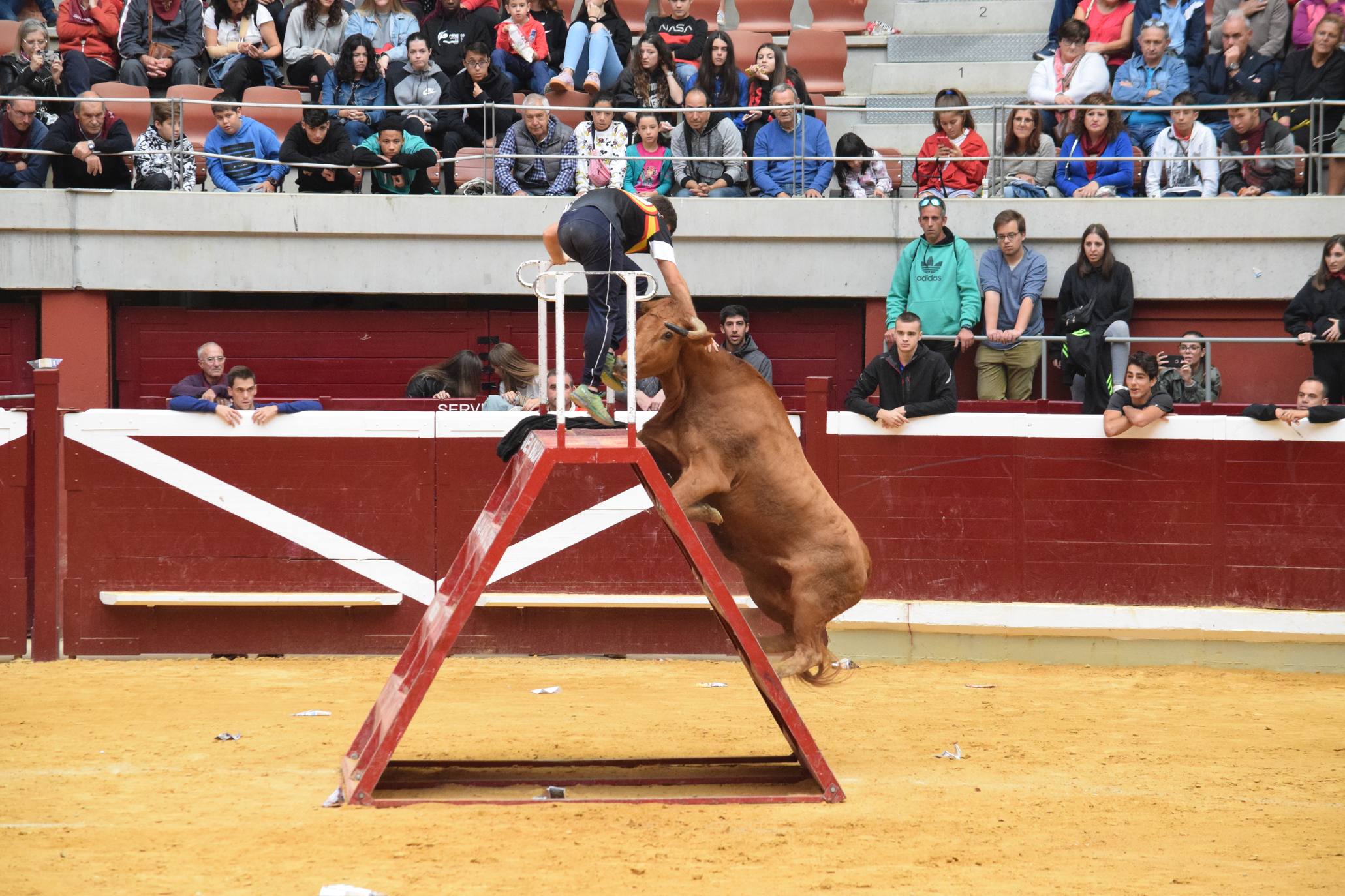 Miércoles de vaquillas en La Ribera