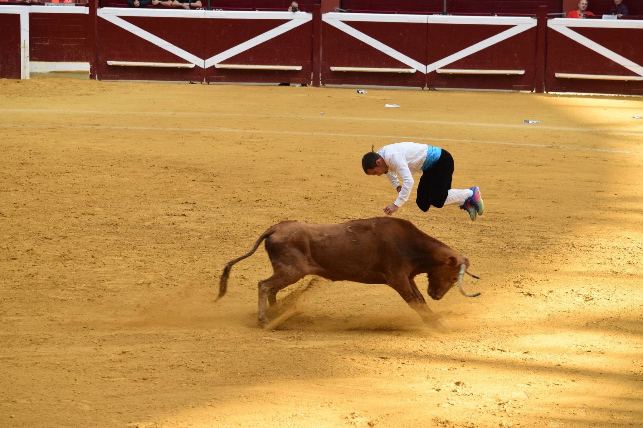 Fotos: Jueves de vaquillas en La Ribera