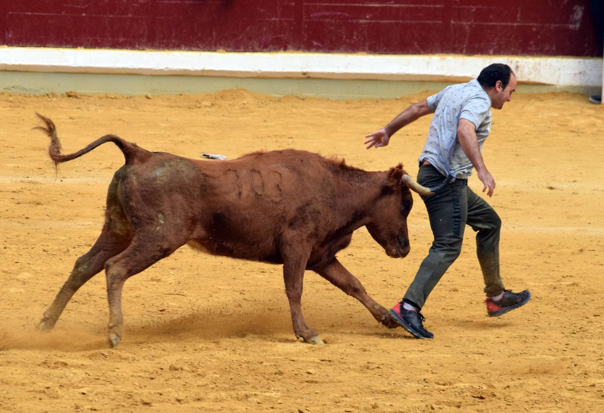 Fotos: Jueves de vaquillas en La Ribera