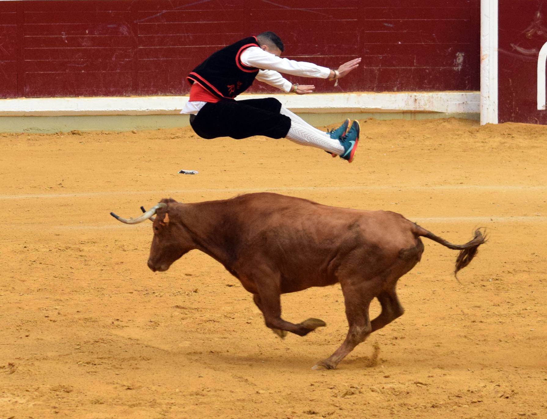 Fotos: Jueves de vaquillas en La Ribera