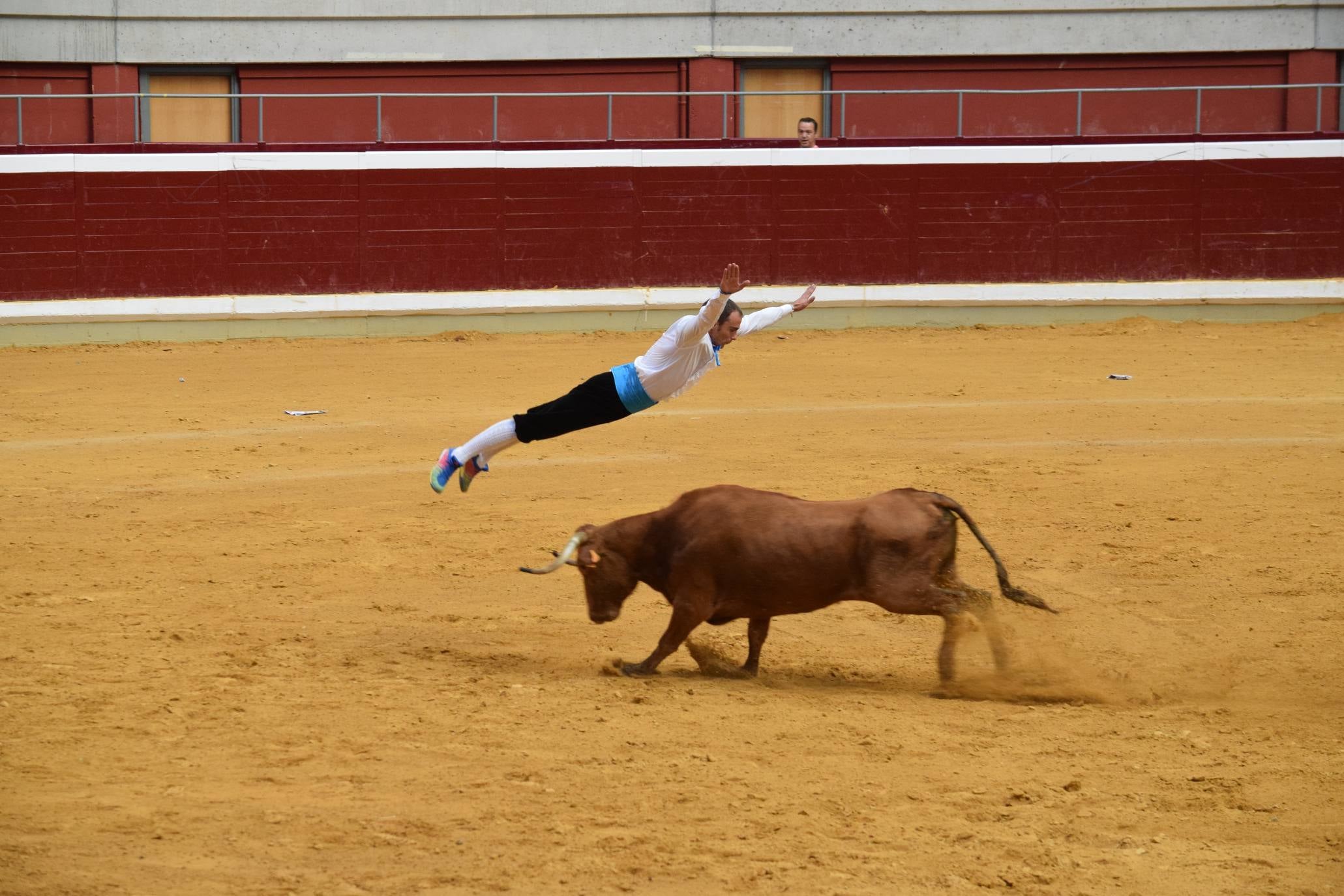 Fotos: Jueves de vaquillas en La Ribera