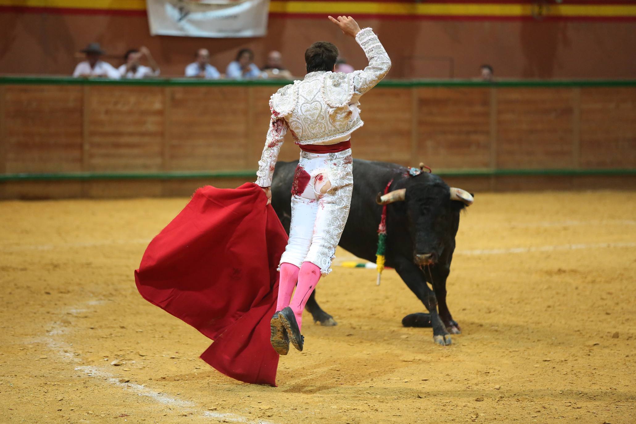 El novillero Daniel Menés ha sufrido una grave cogida. 