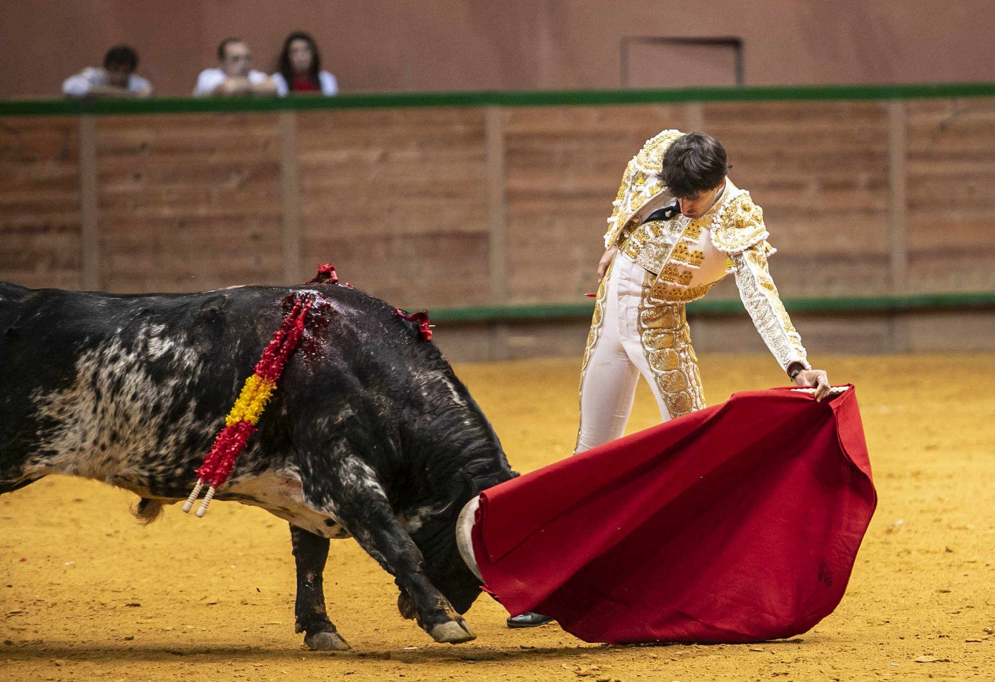 El novillero ha triunfado en la cuarta cita de la Feria del Zapato de Oro. 