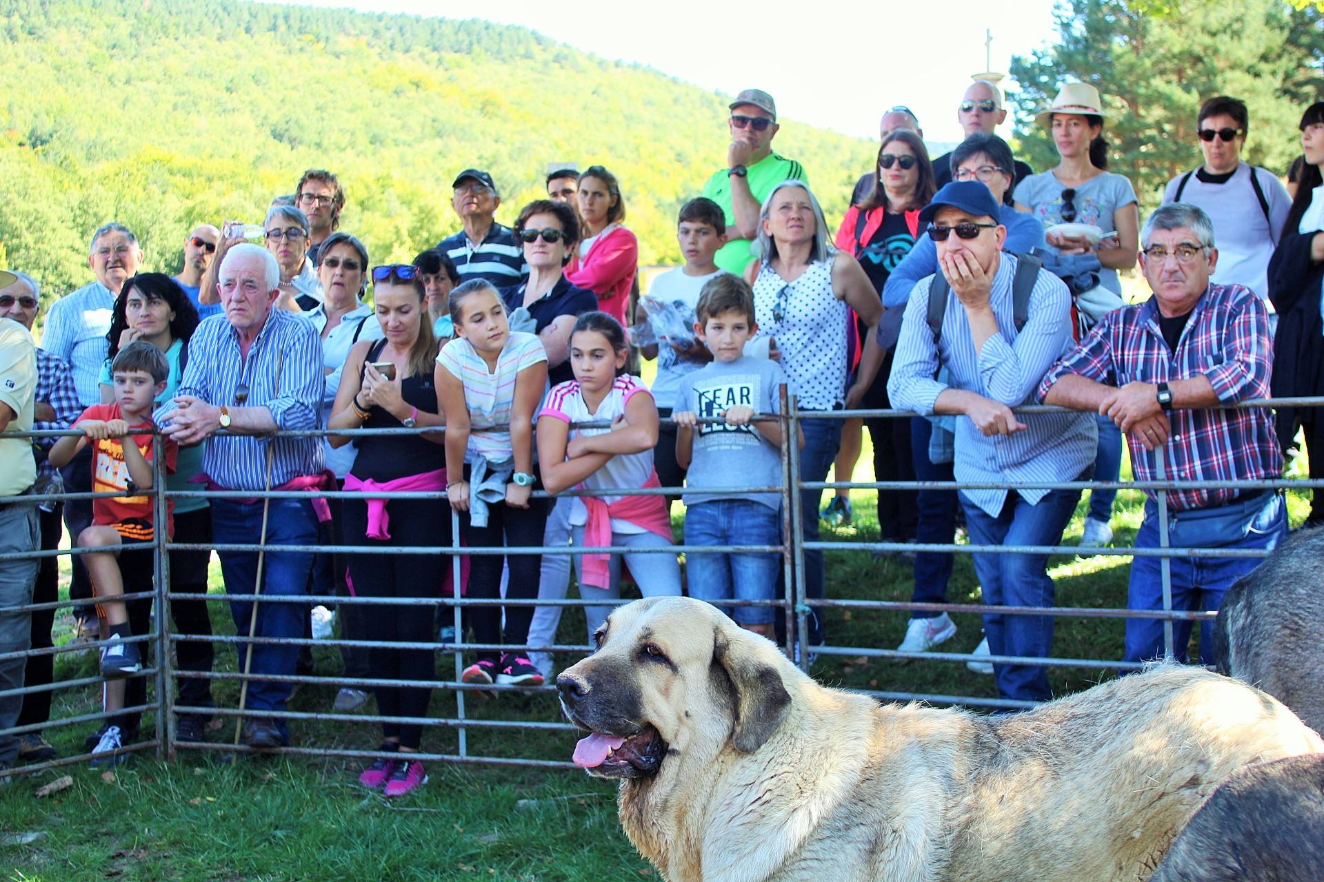 Fiesta de la Trashumancia en Brieva