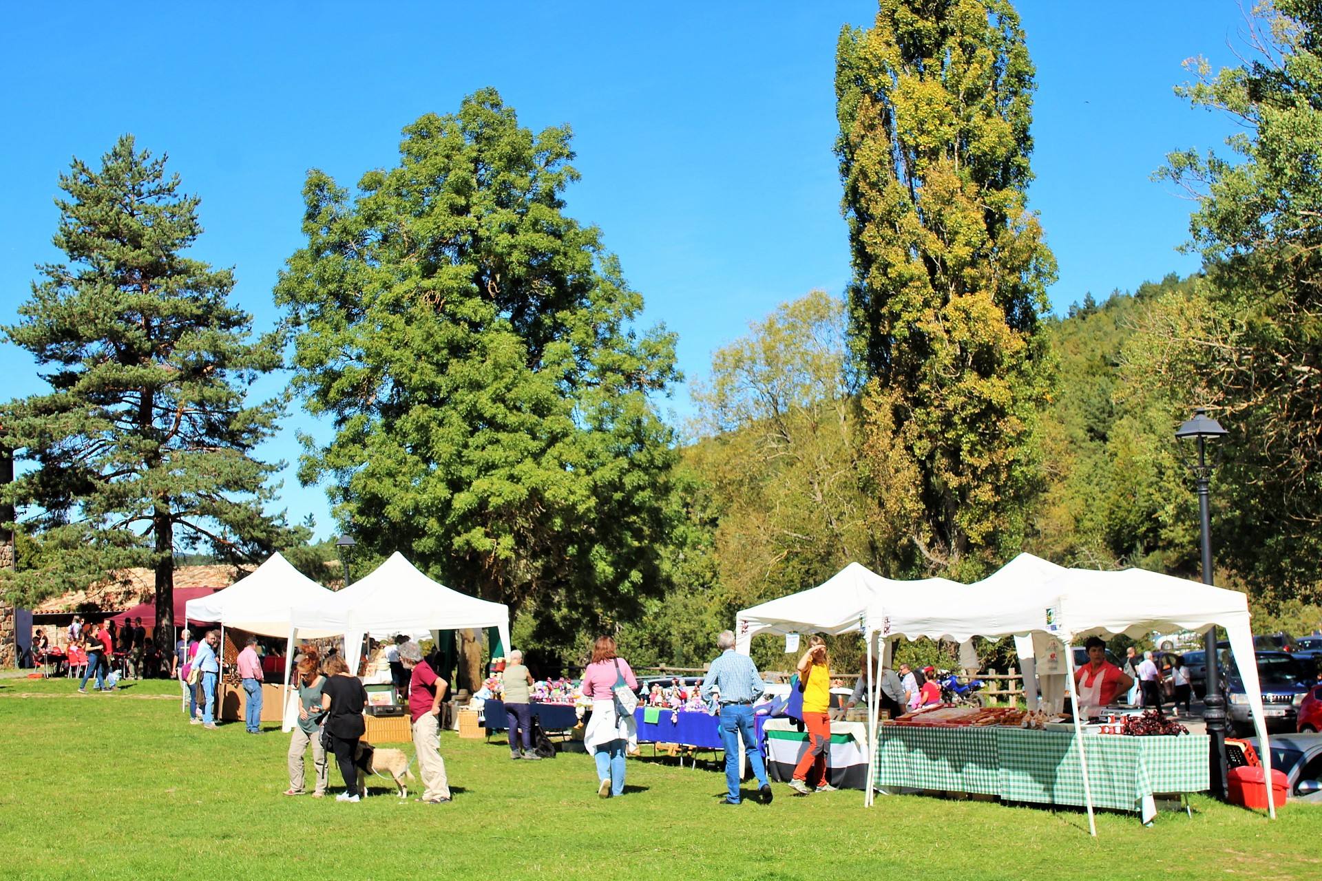 Fiesta de la Trashumancia en Brieva