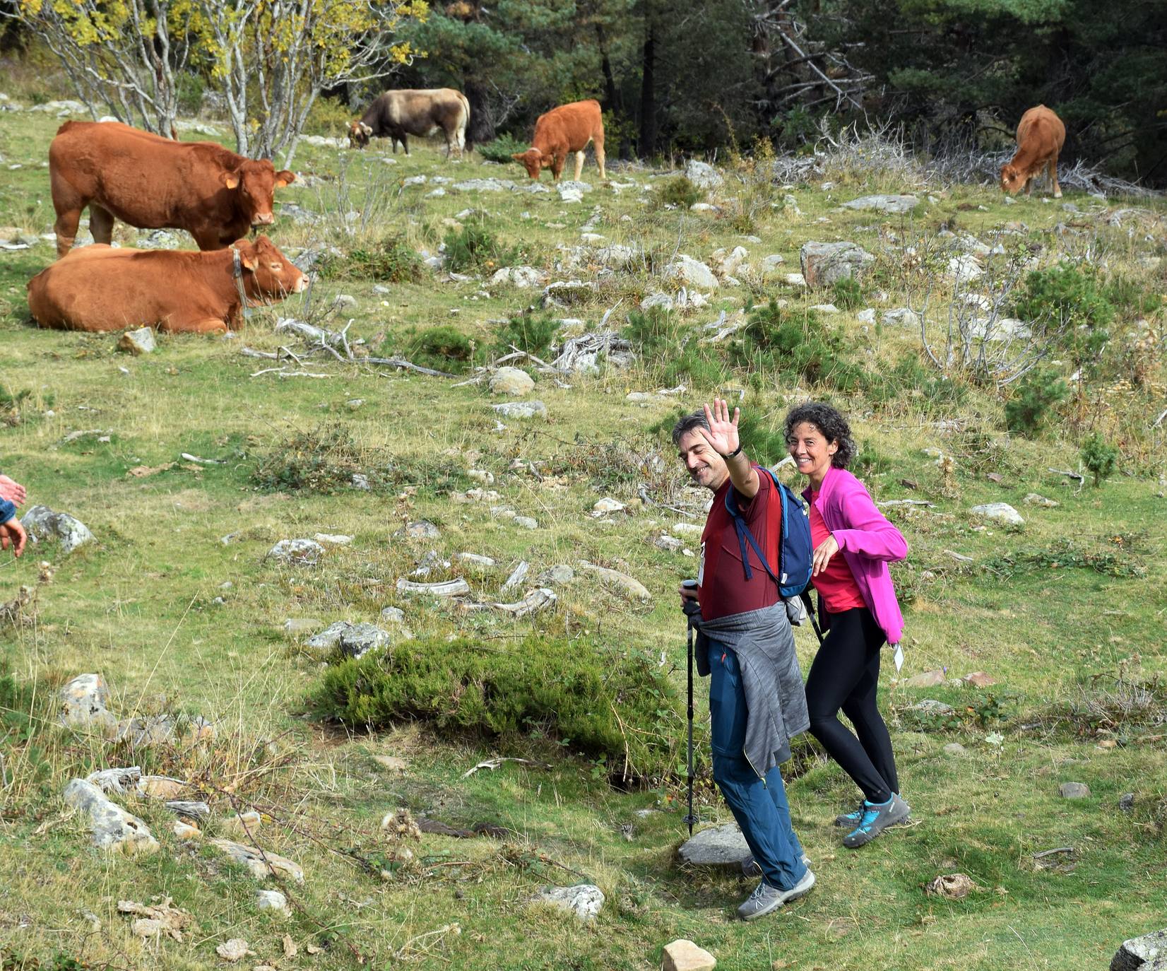 Marcha de Hoyos de Iregua (II)