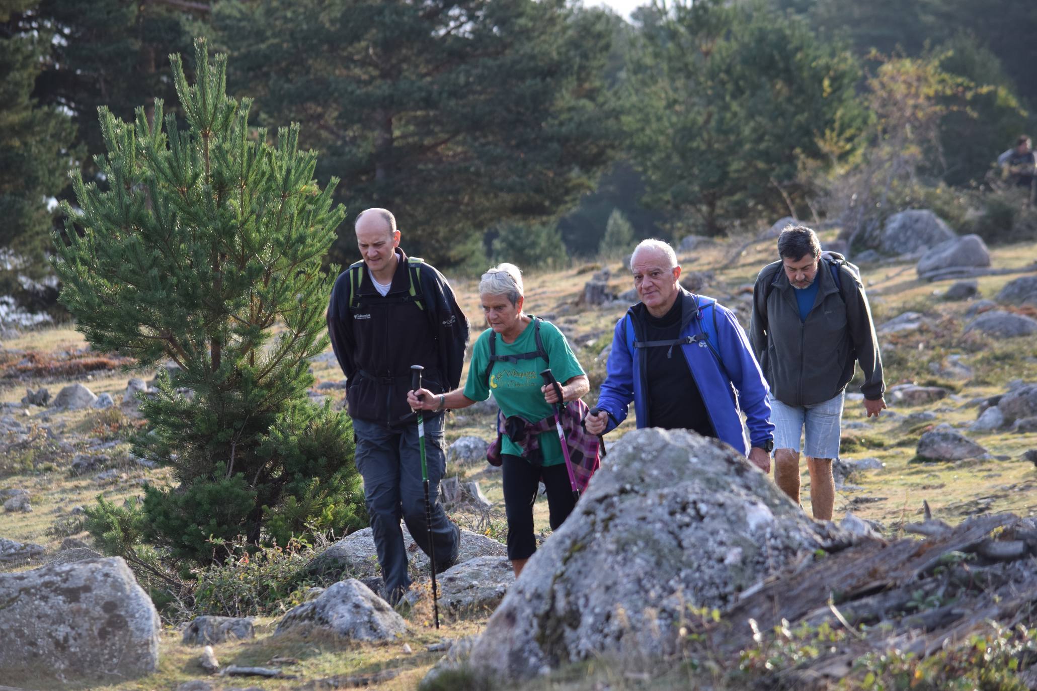 Marcha de Hoyos de Iregua (II)