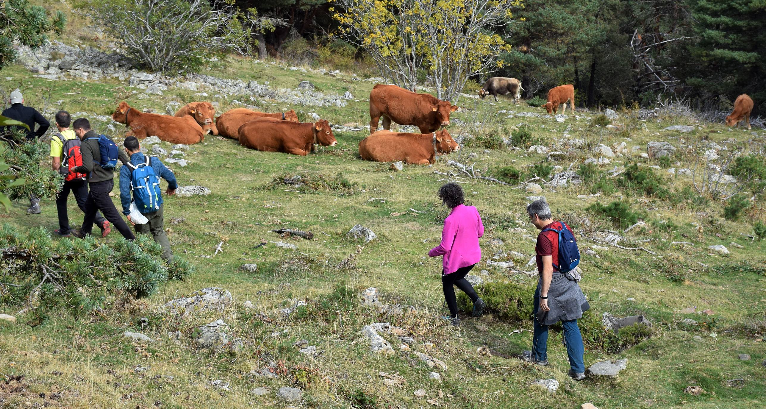 Marcha de Hoyos de Iregua (II)