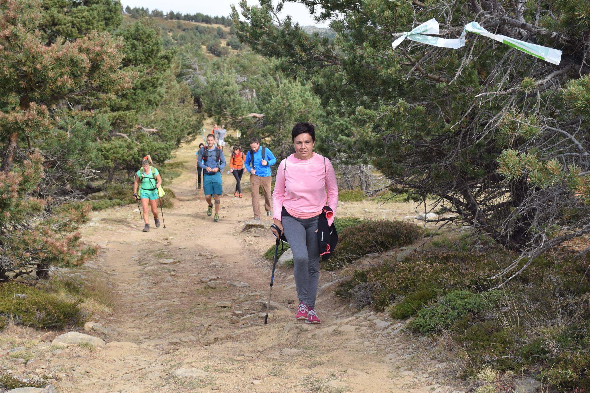 Marcha de Hoyos de Iregua (II)