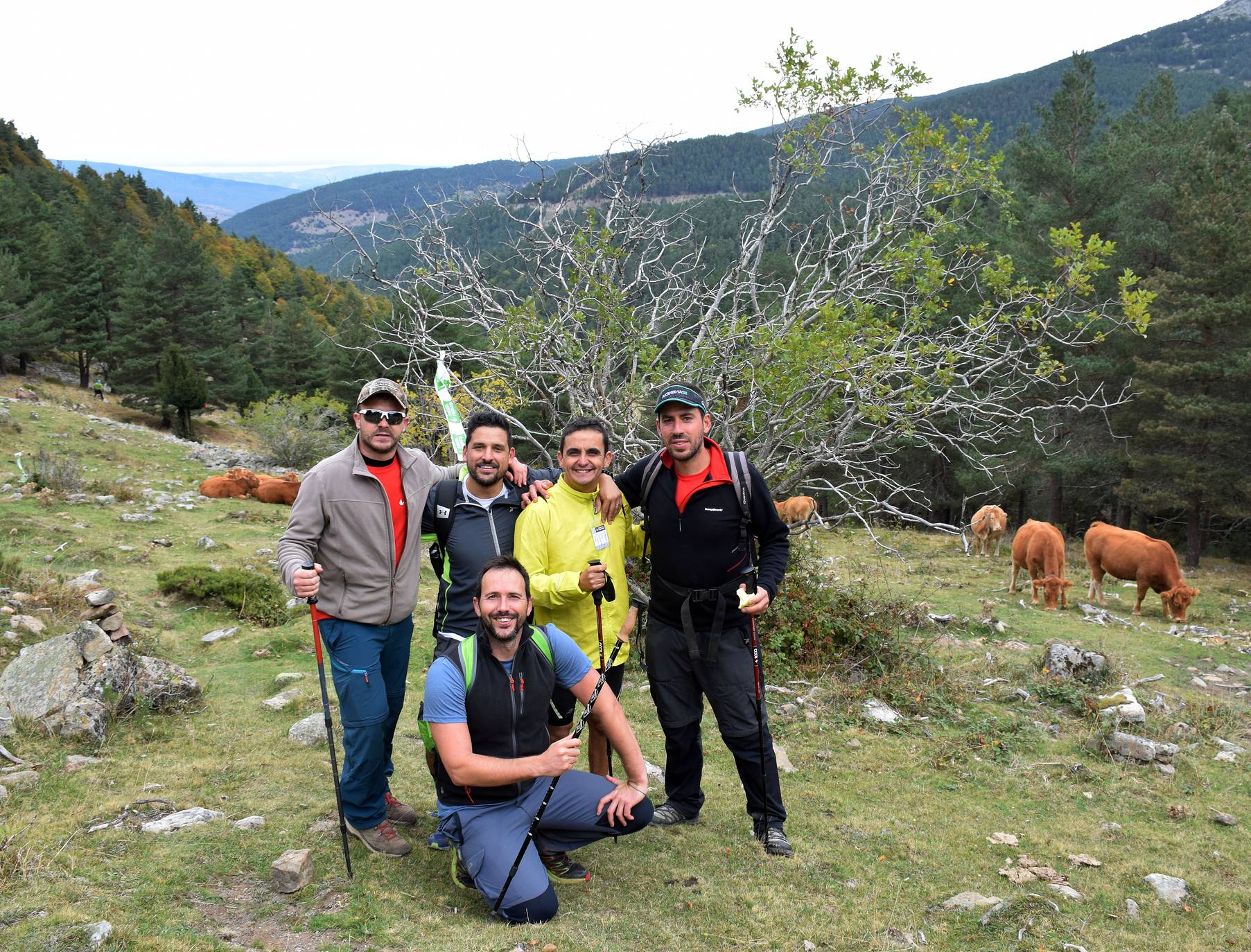 Marcha de Hoyos de Iregua