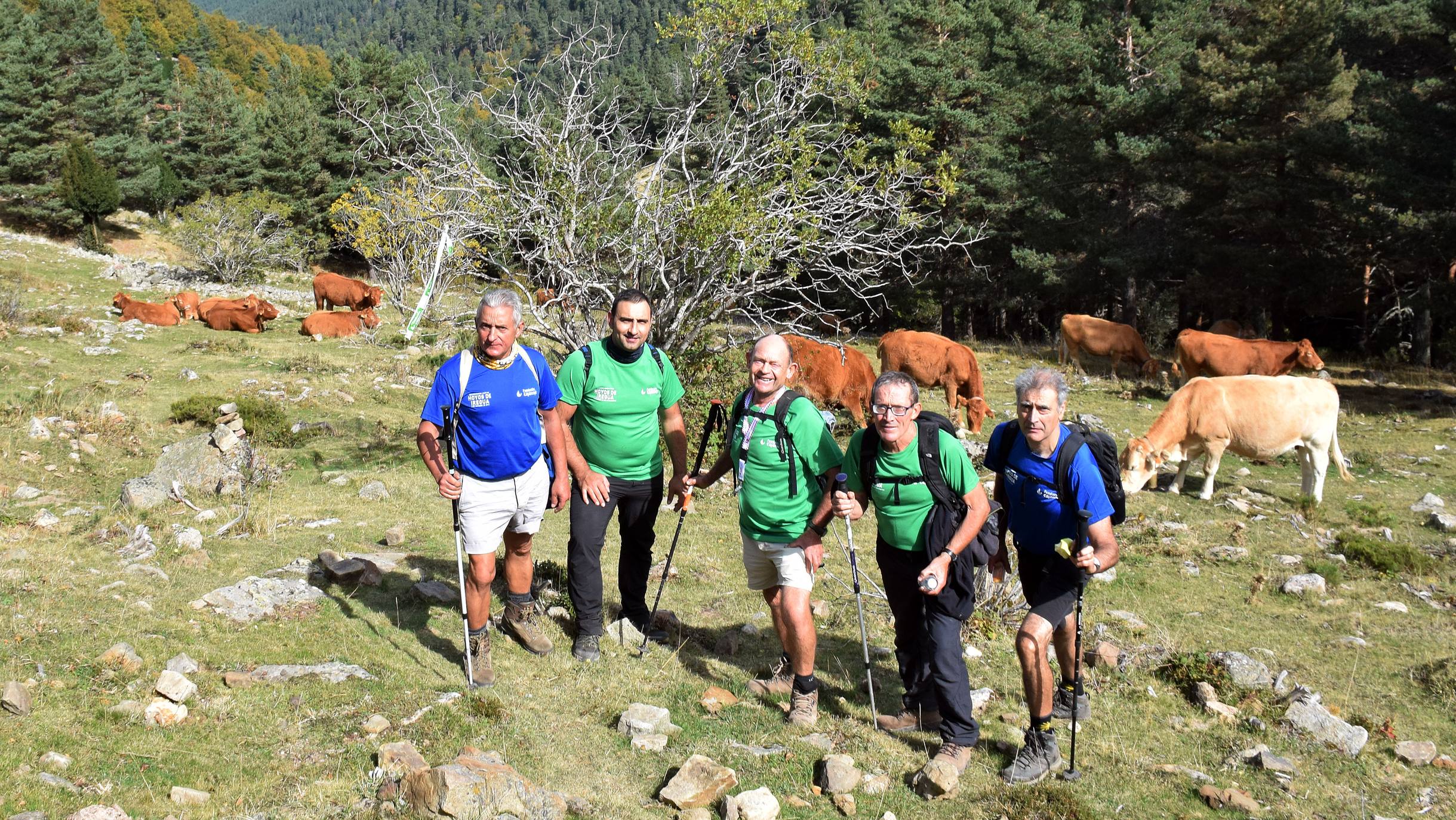 Marcha de Hoyos de Iregua