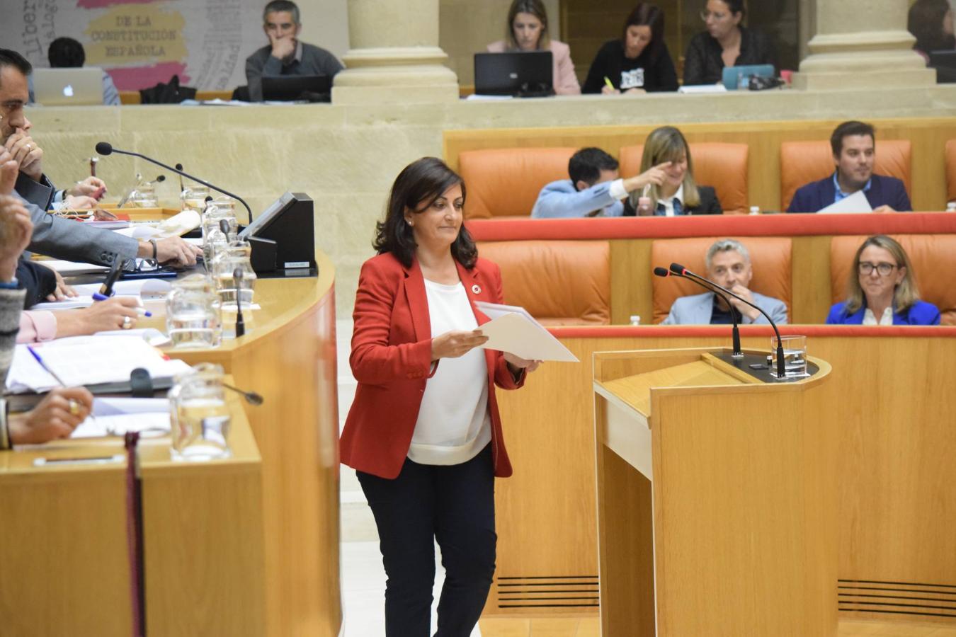 Sesión plenaria en el Parlamento de La Rioja. 